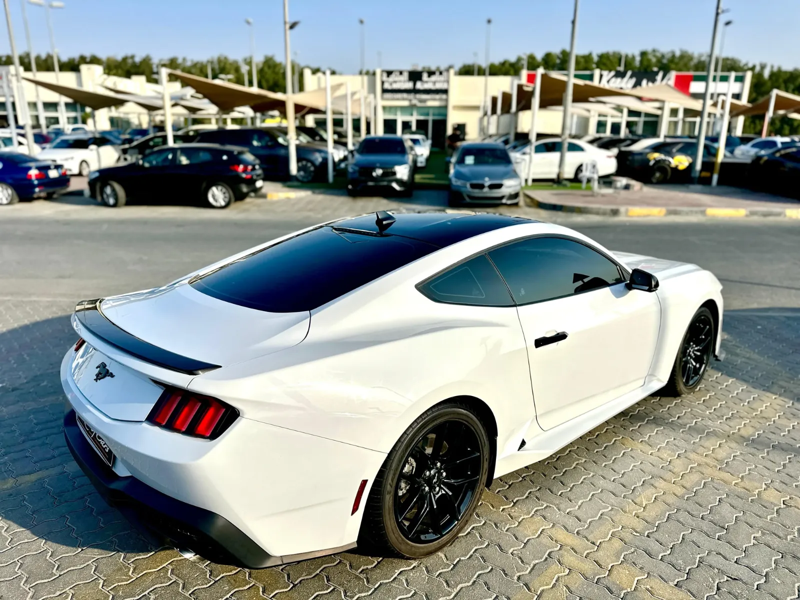 2026 Ford Mustang photo 5