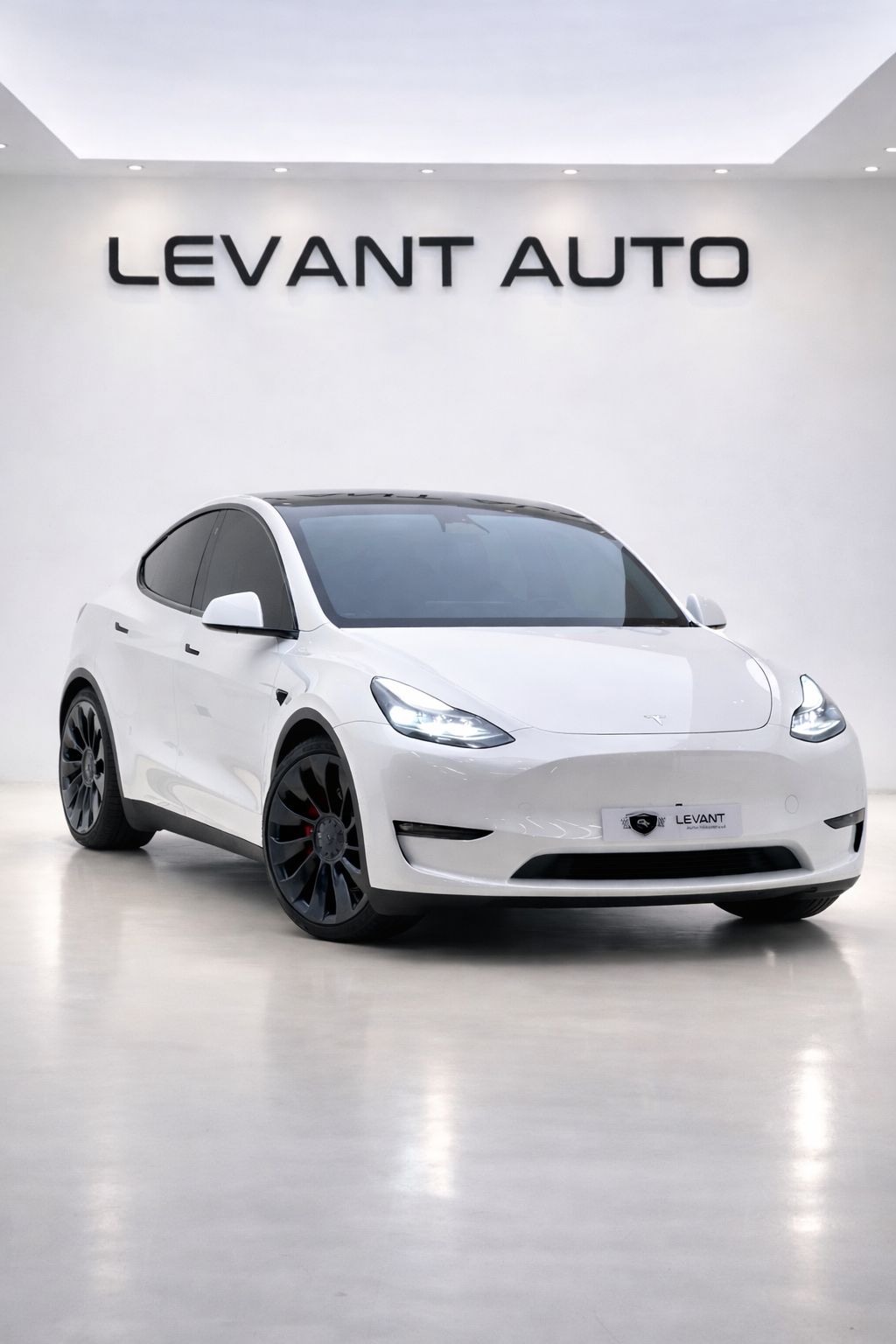 2024 Tesla Model Y photo 2