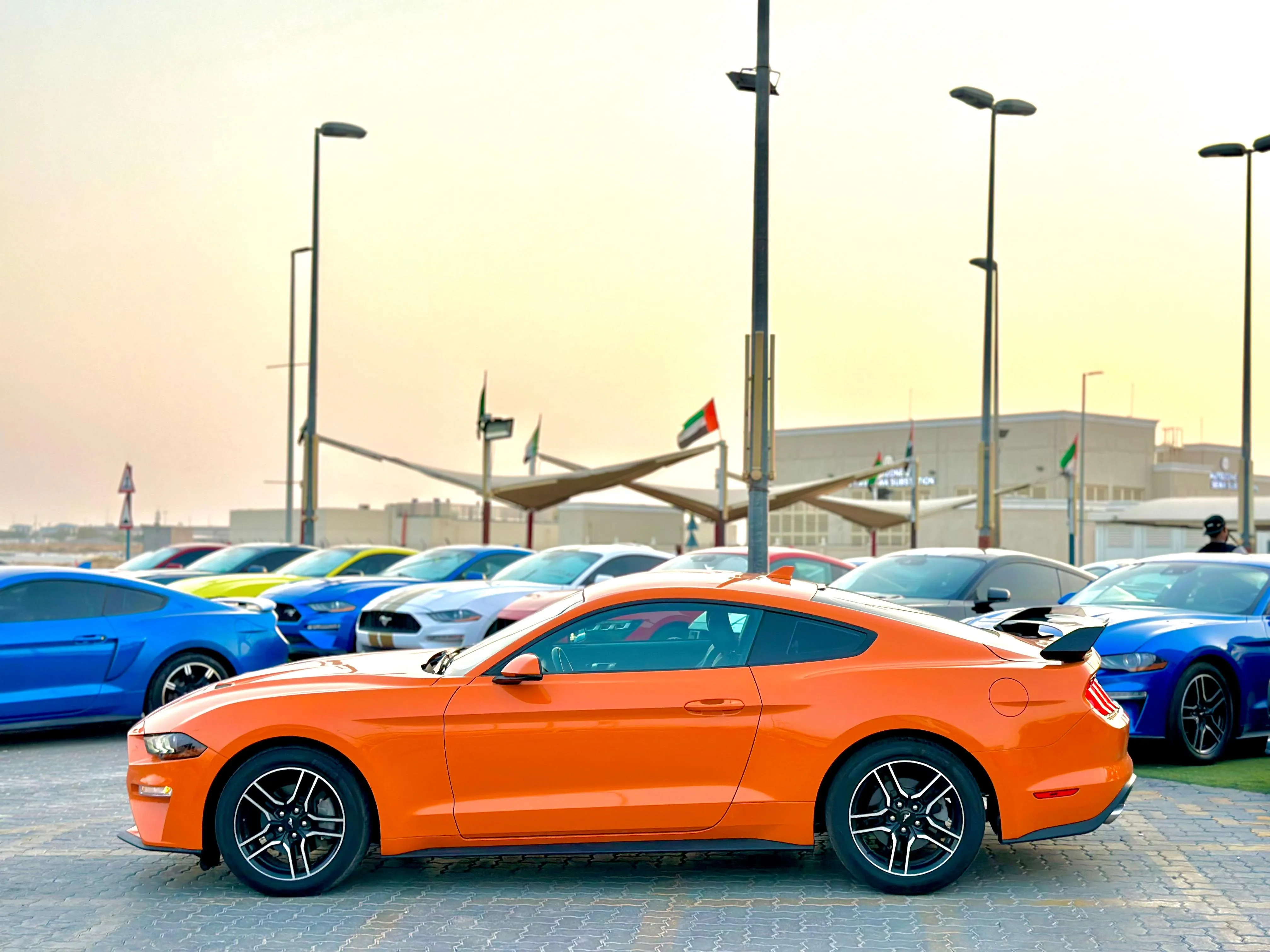 2020 Ford Mustang photo 3