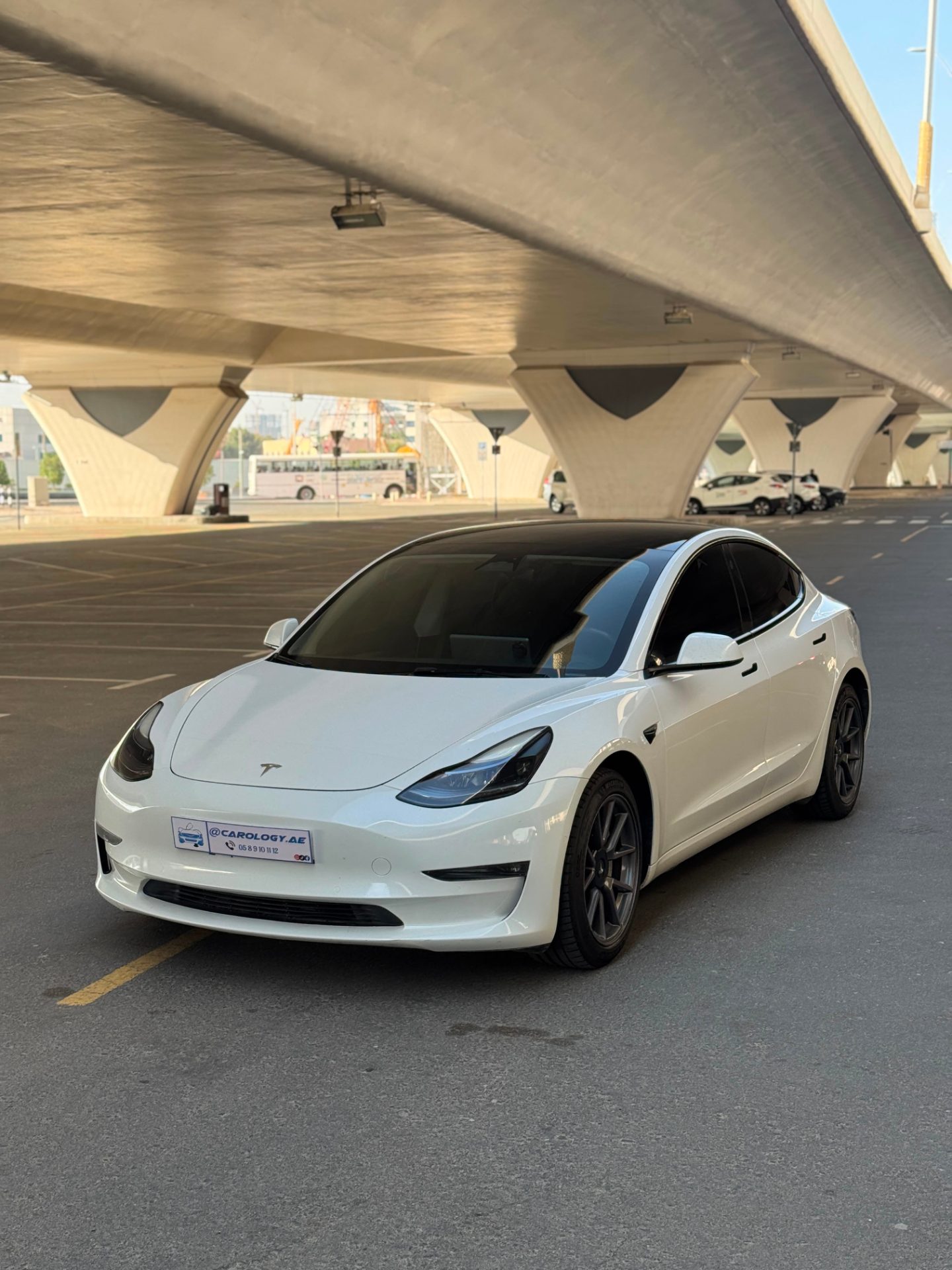 2022 Tesla Model 3 photo 3
