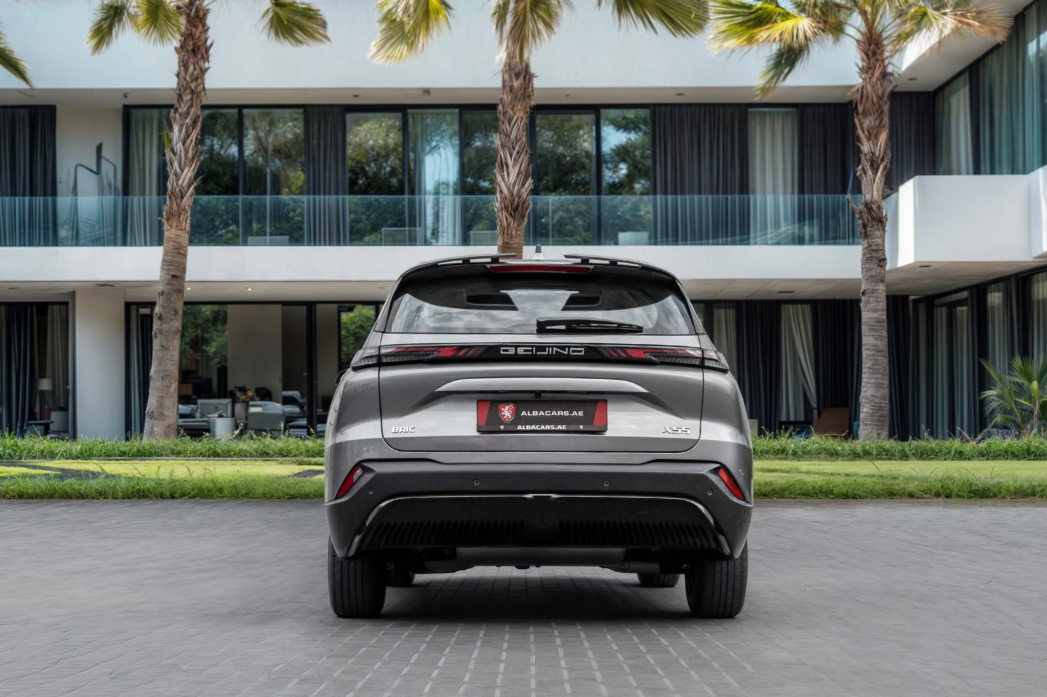 2024 BAIC X55 photo 2