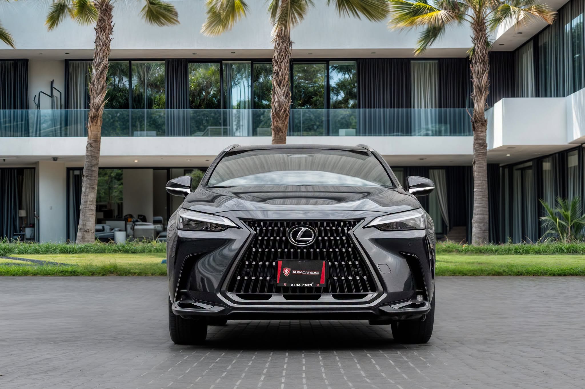 2025 Lexus NX photo 2