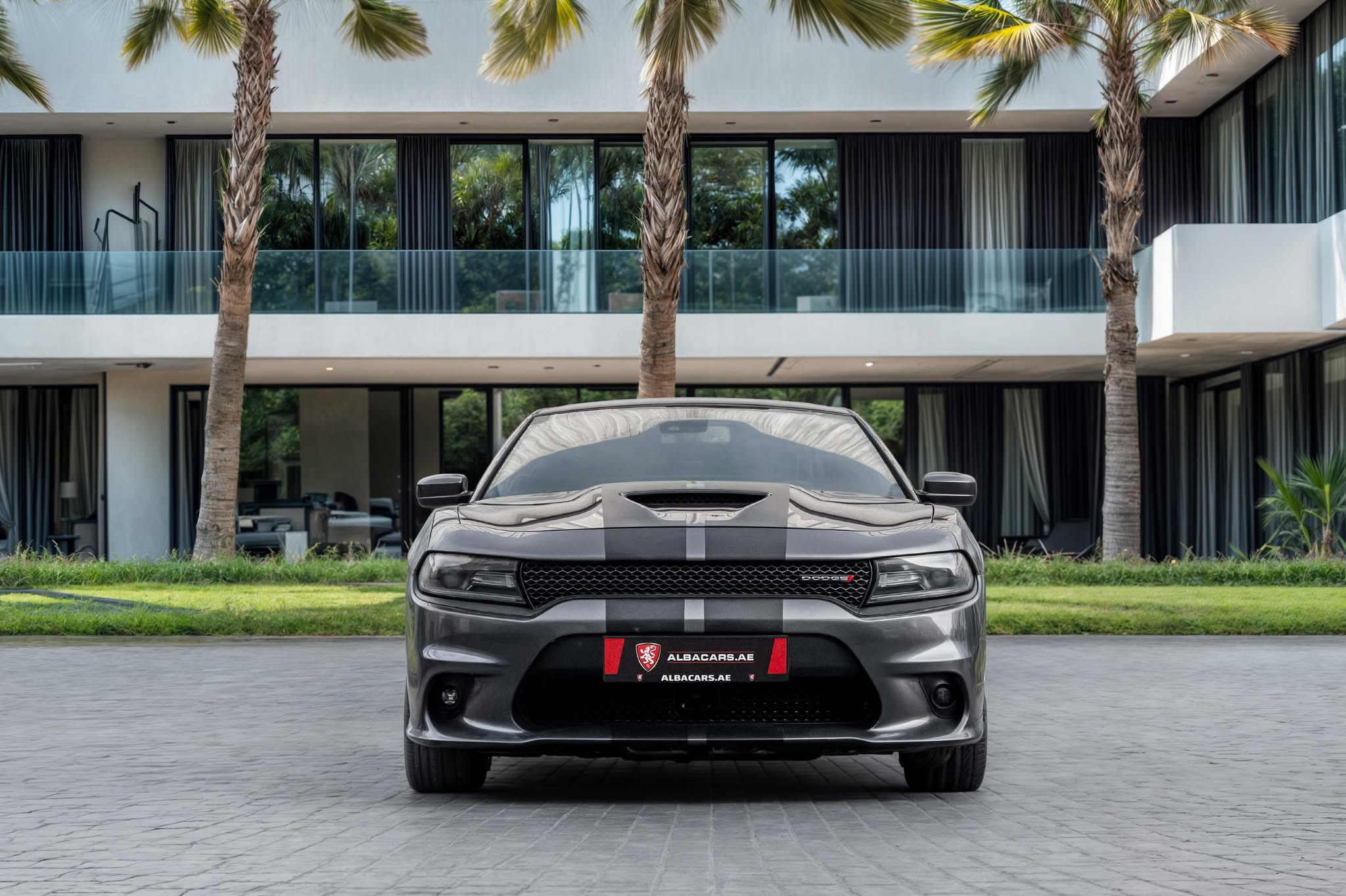 2019 Dodge Charger photo 4