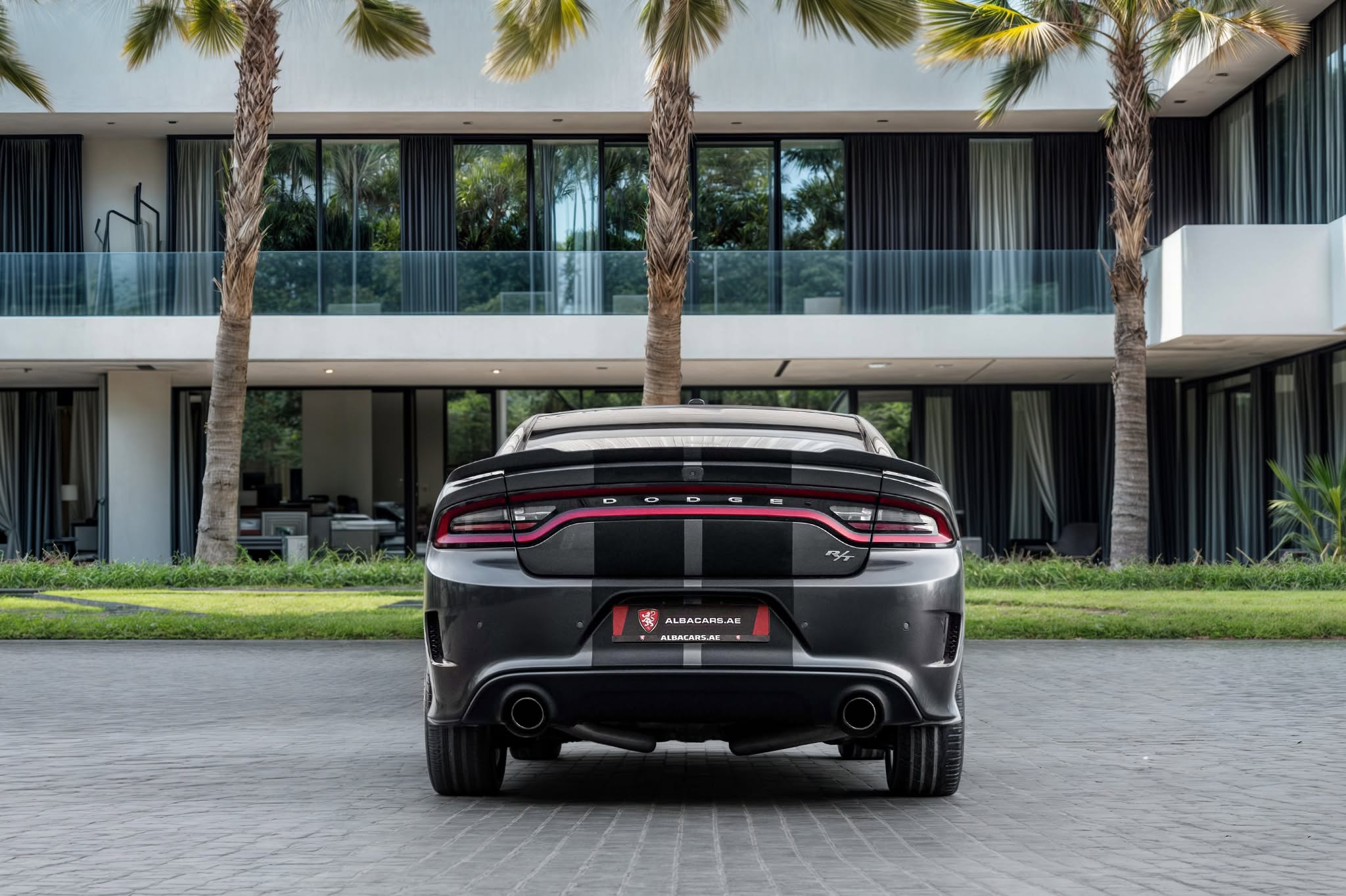2019 Dodge Charger photo 3