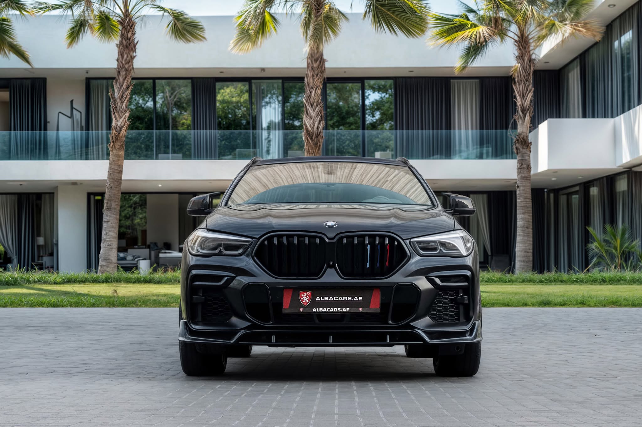 2021 BMW X6 photo 2