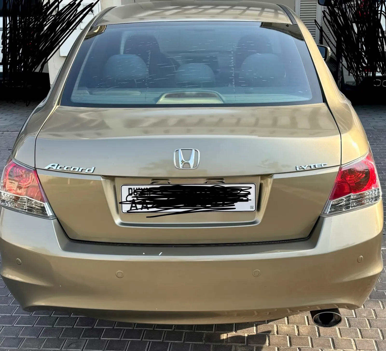 2010 Honda Accord photo 3