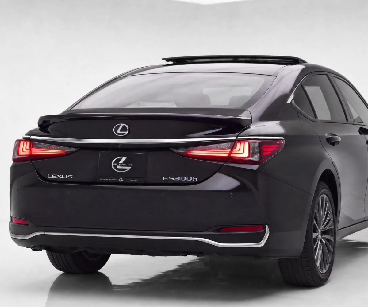 2020 Lexus ES photo 4