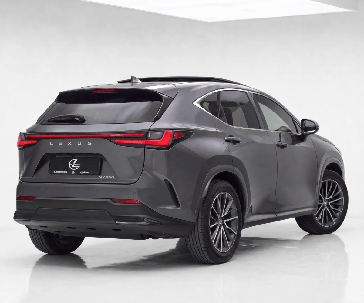 2022 Lexus NX photo 3