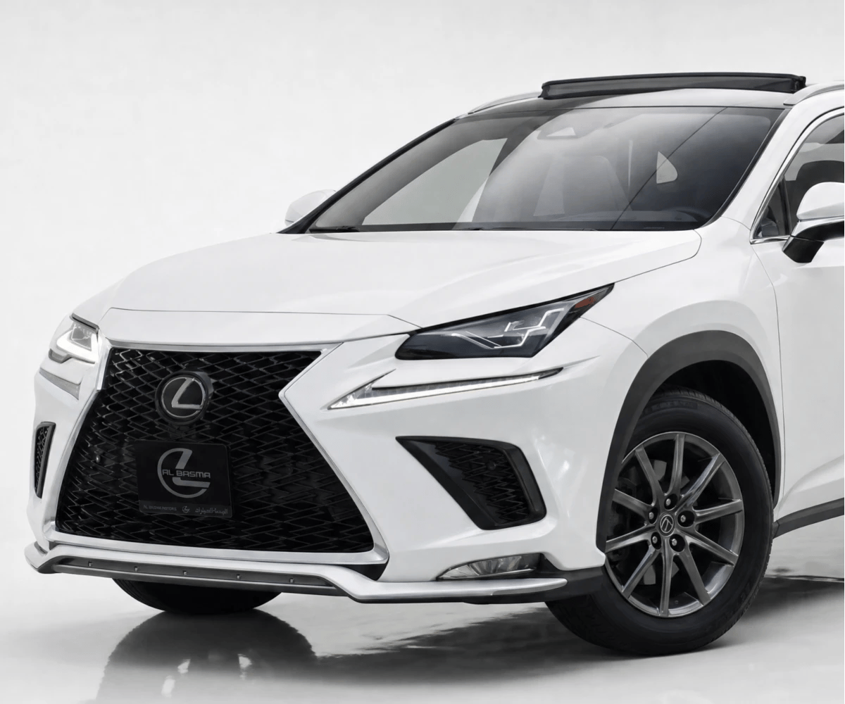 2021 Lexus NX photo 2