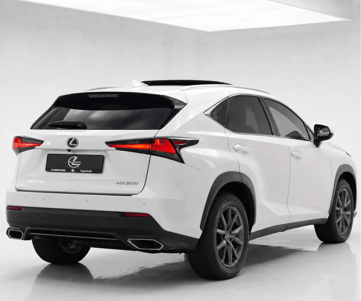 2021 Lexus NX photo 3