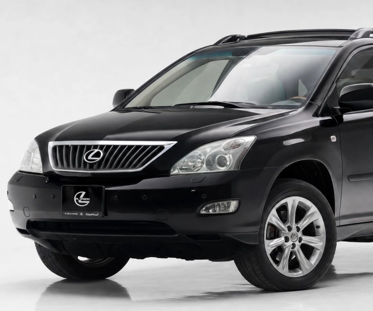 2008 Lexus RX photo 2