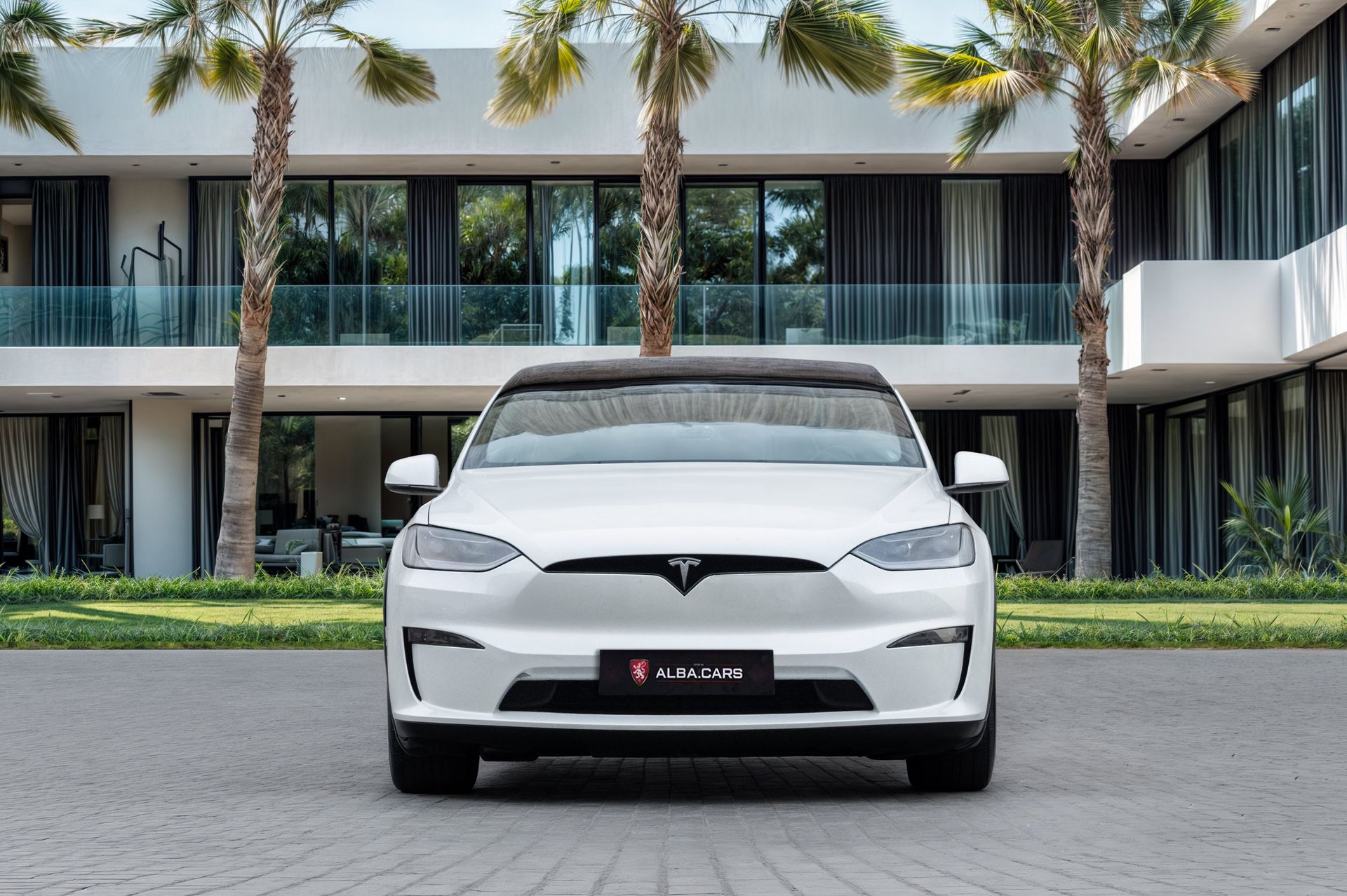 2024 Tesla Model X photo 4