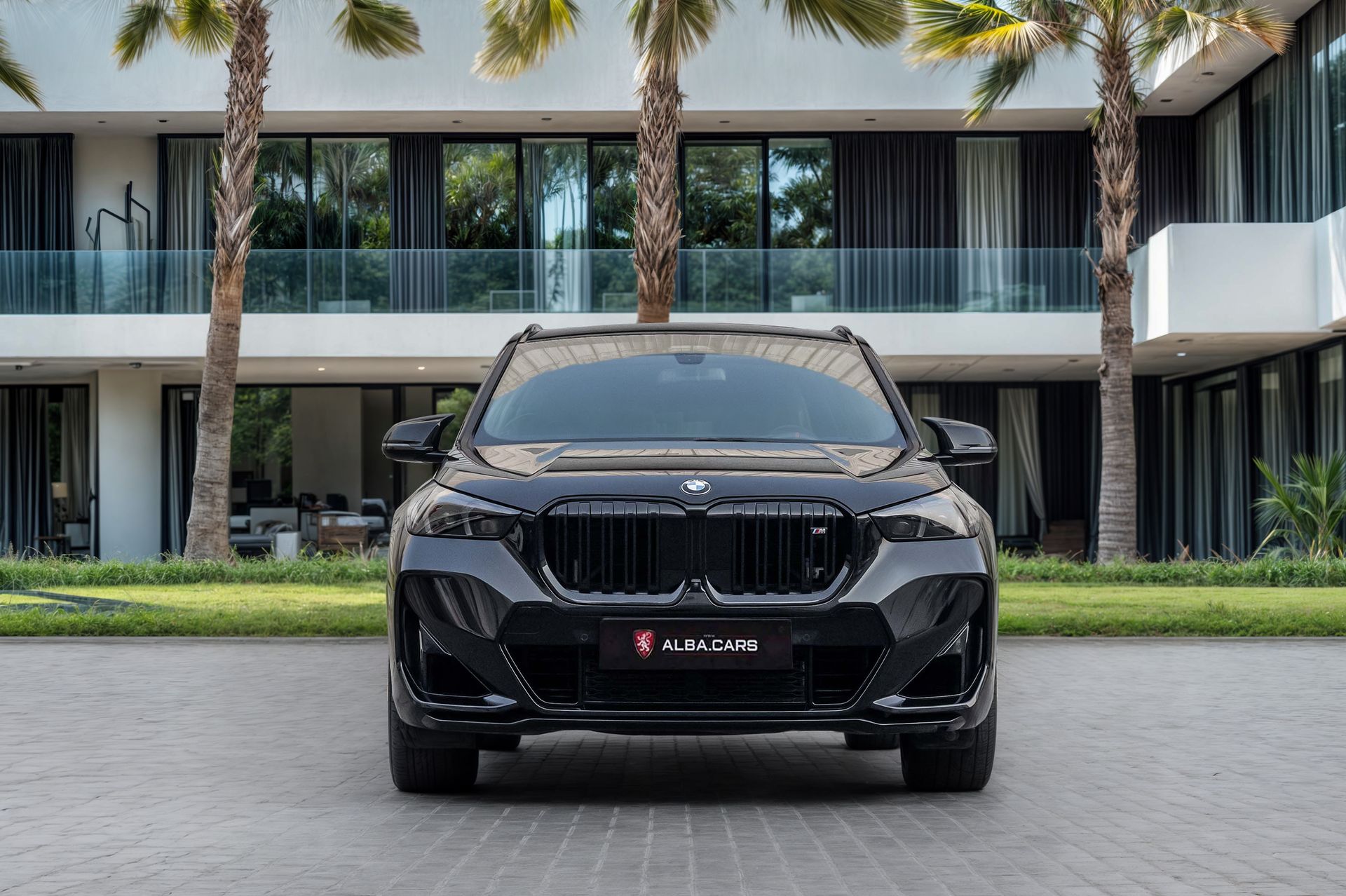 2025 BMW X1 photo 4