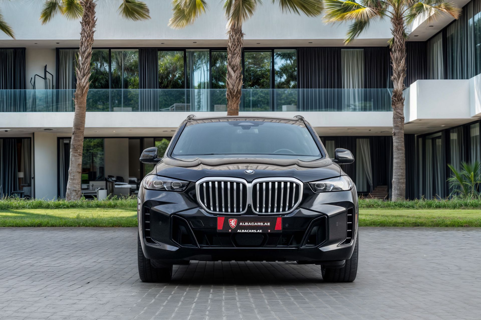 2025 BMW X5 photo 4