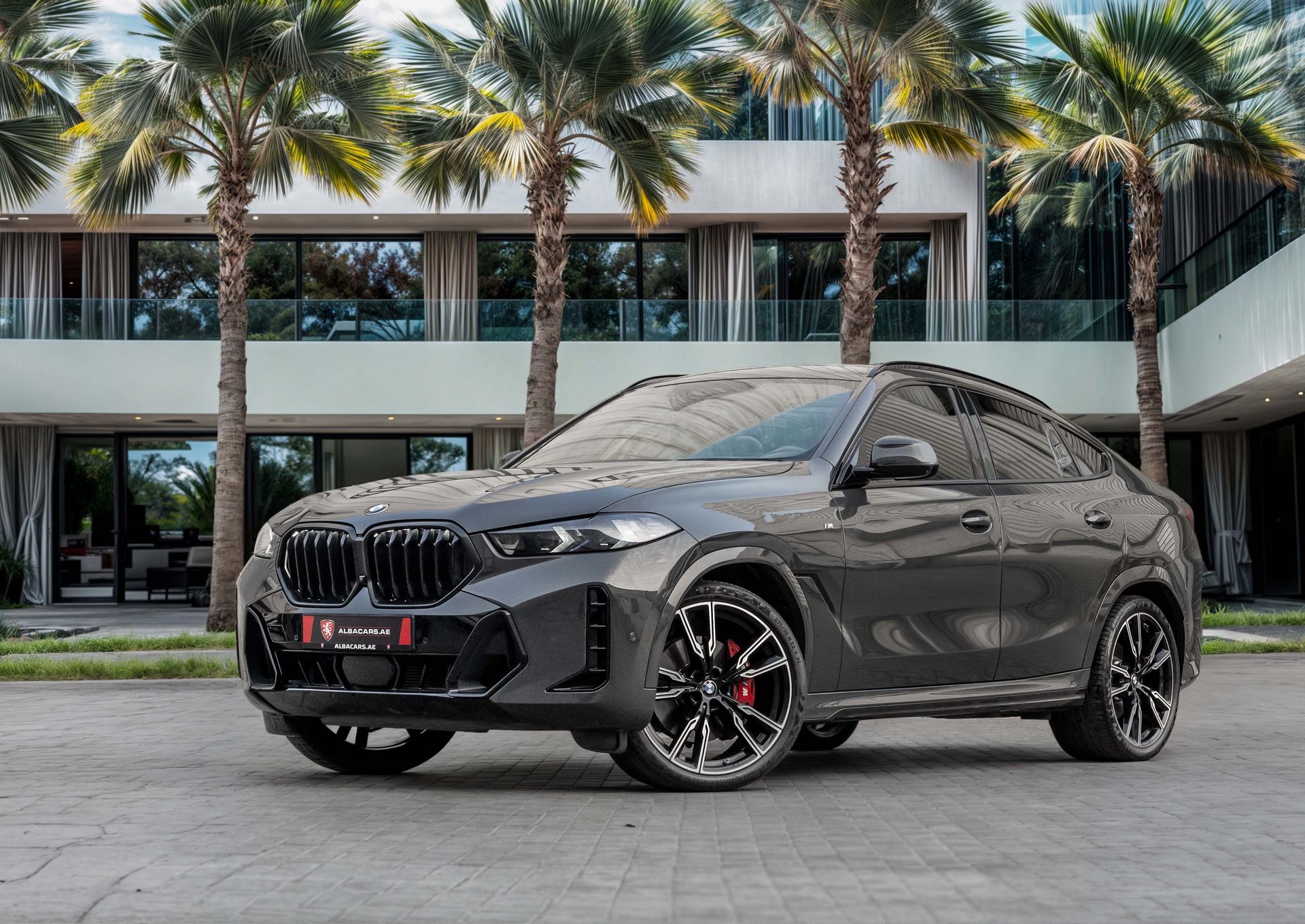 2024 BMW X6