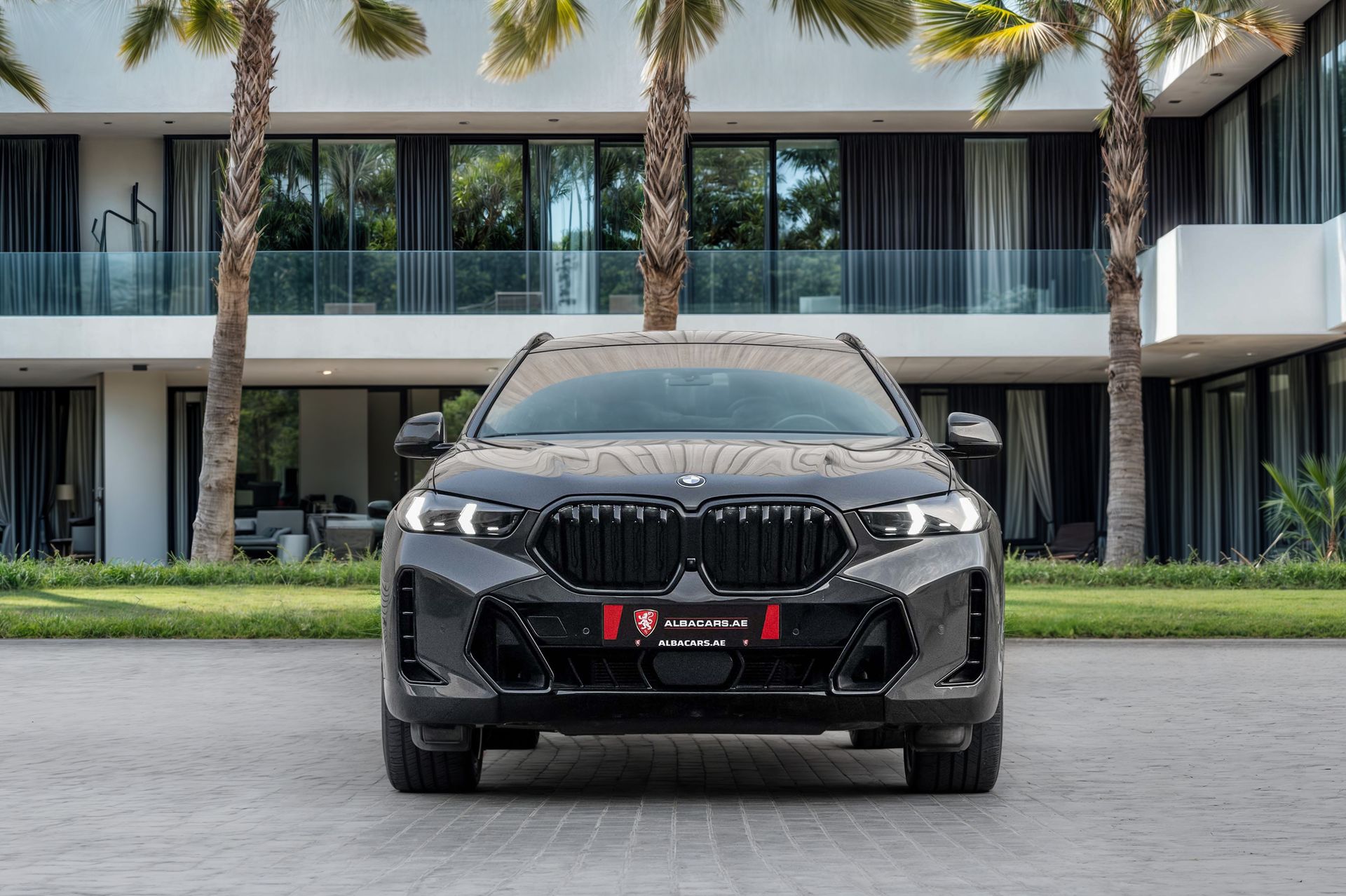 2024 BMW X6 photo 4