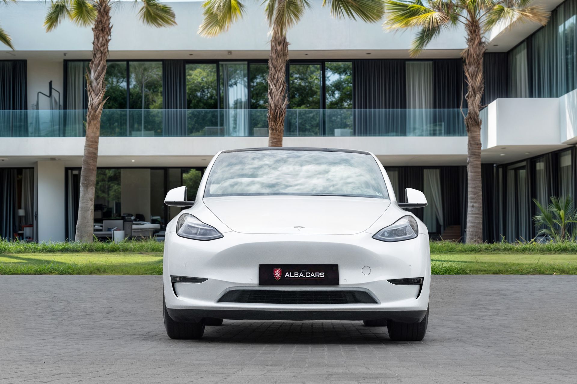 2022 Tesla Model Y photo 4