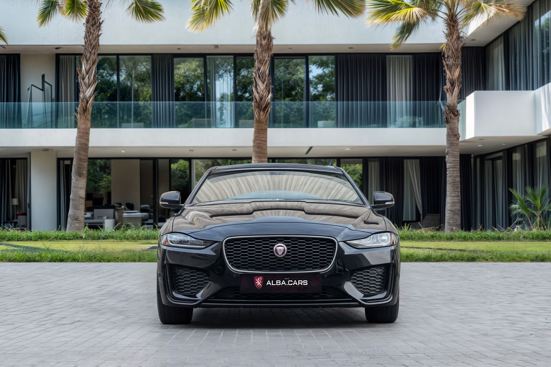 2024 Jaguar XE photo 4