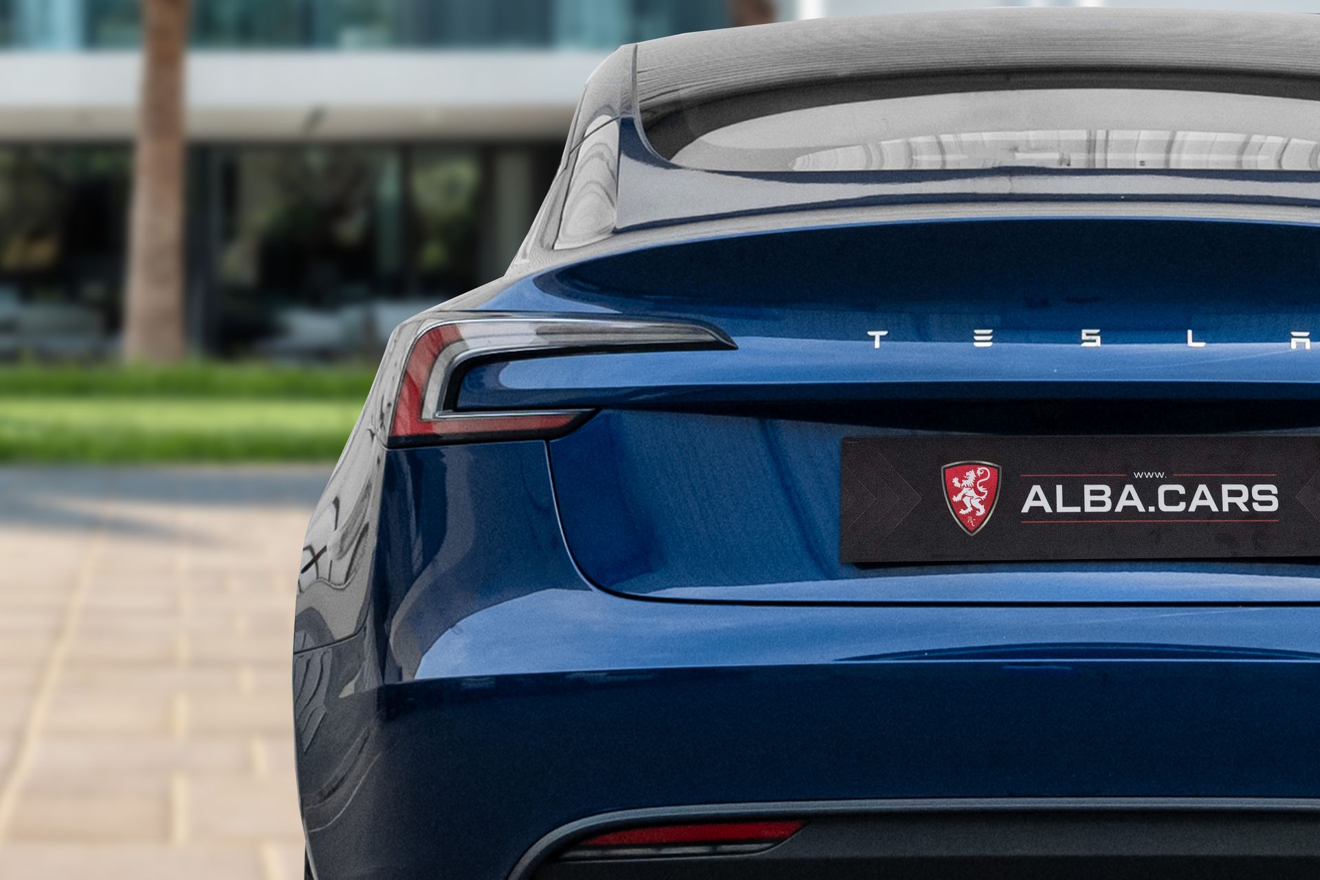 2024 Tesla Model 3 photo 2