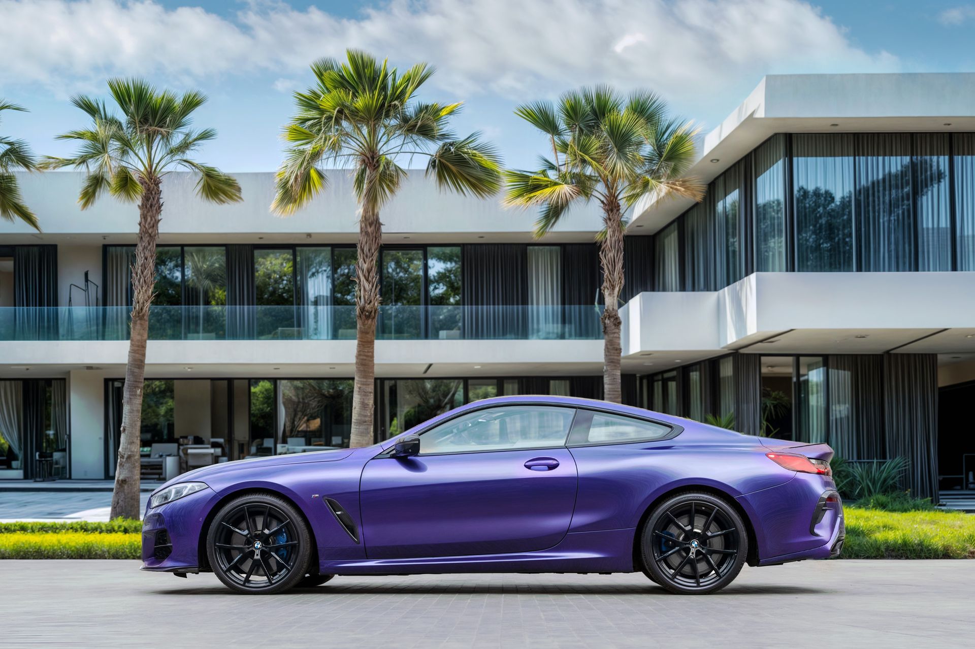 2020 BMW 8 Series photo 2