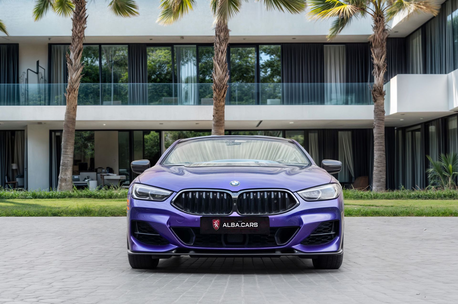 2020 BMW 8 Series photo 4