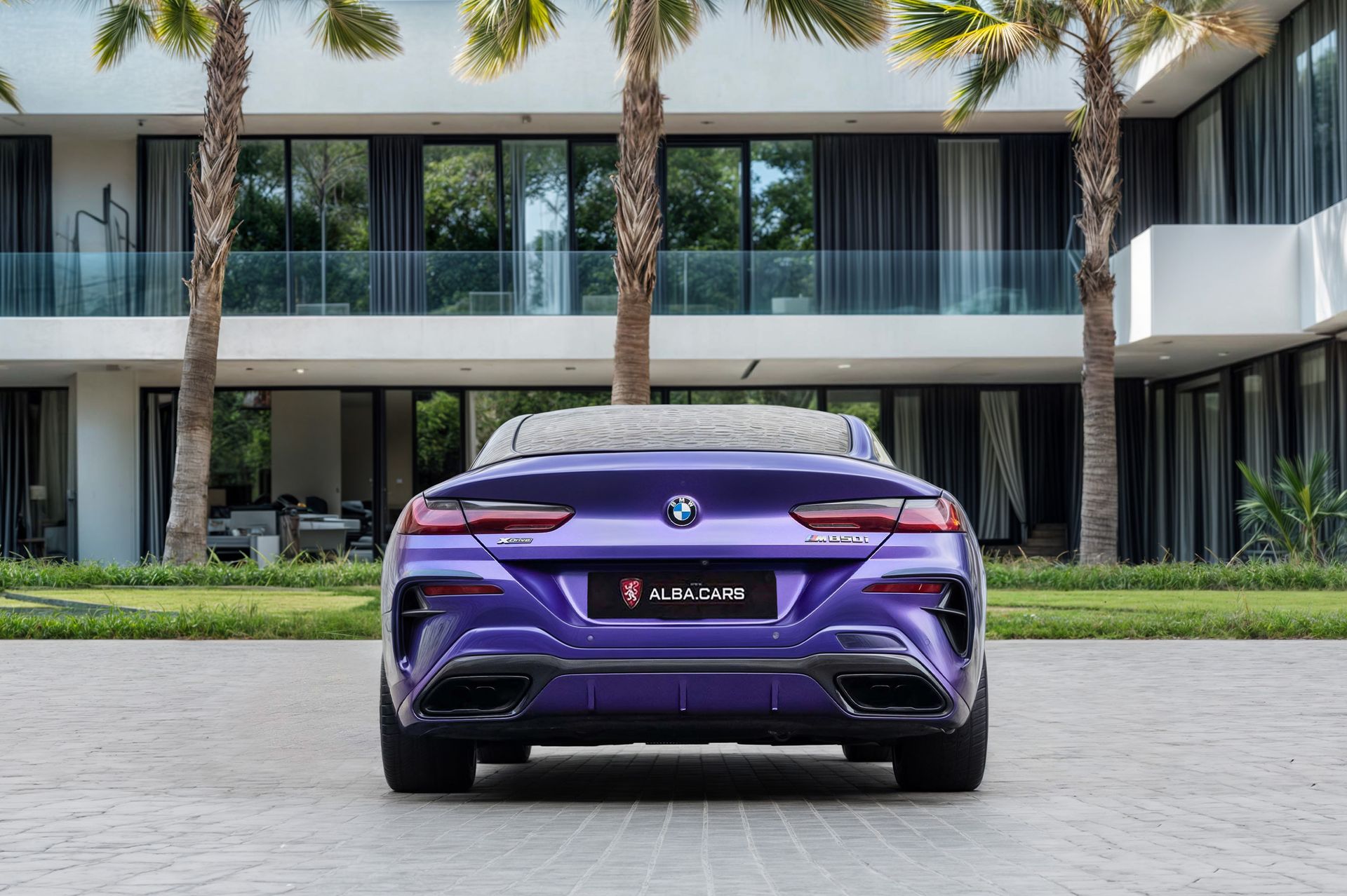 2020 BMW 8 Series photo 5