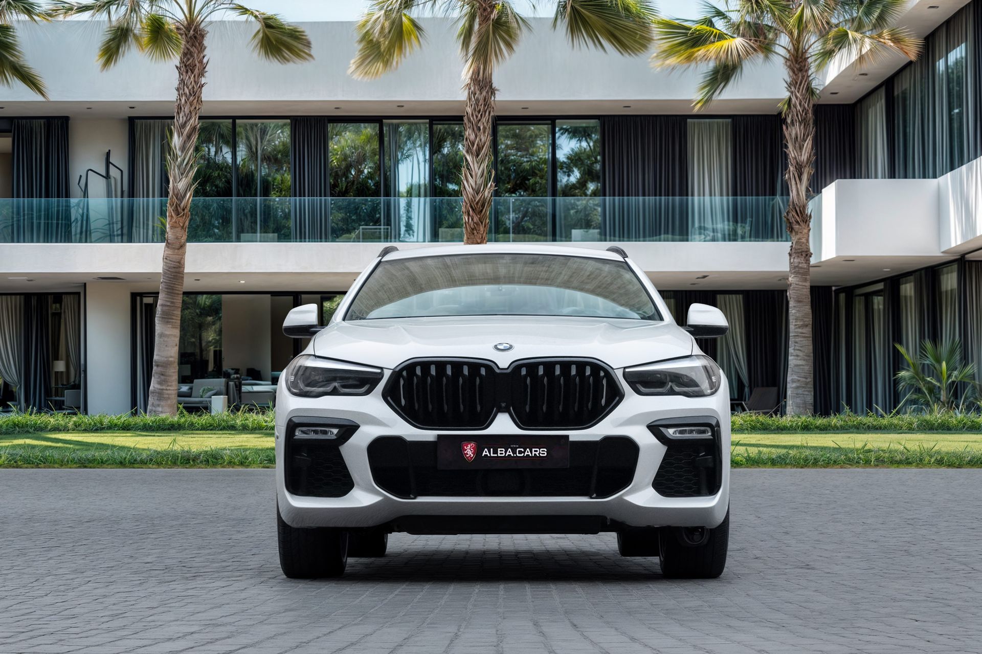 2020 BMW X6 photo 4