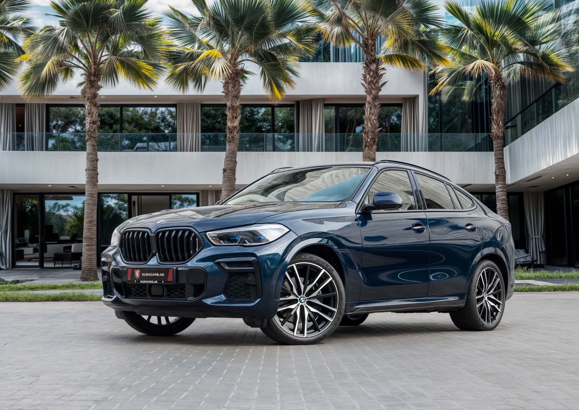 2023 BMW X6