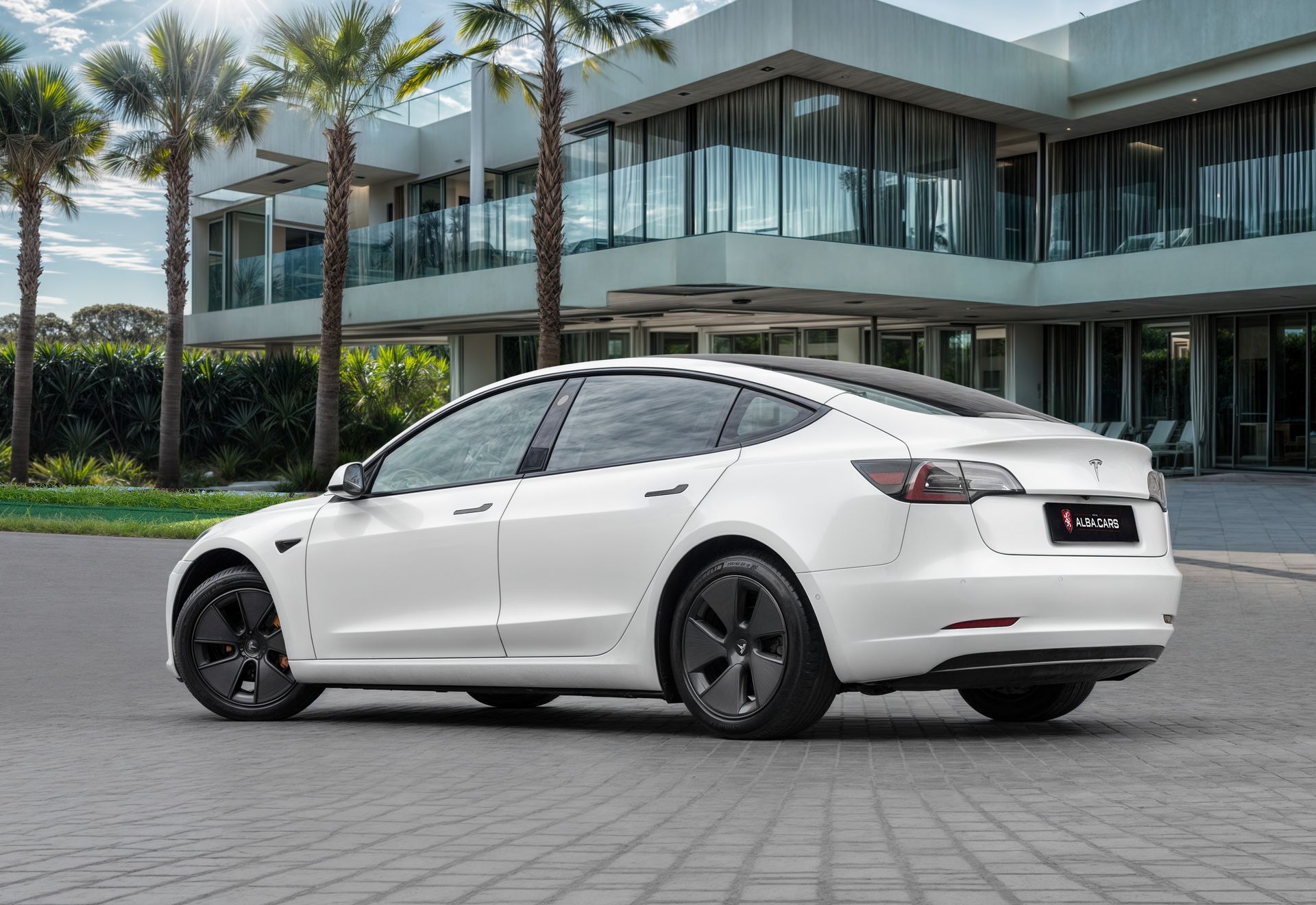 2021 Tesla Model 3 photo 3