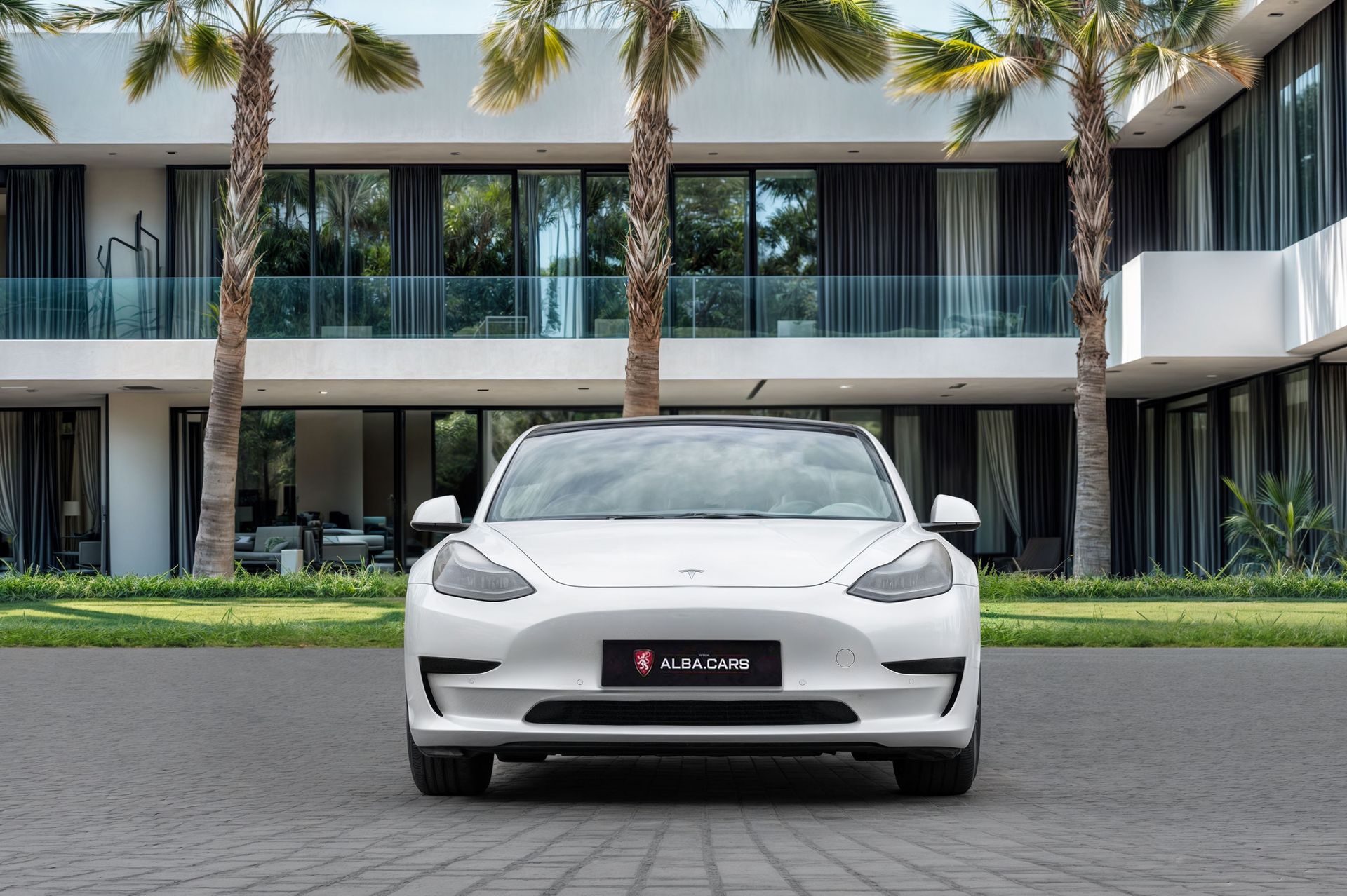 2021 Tesla Model 3 photo 4