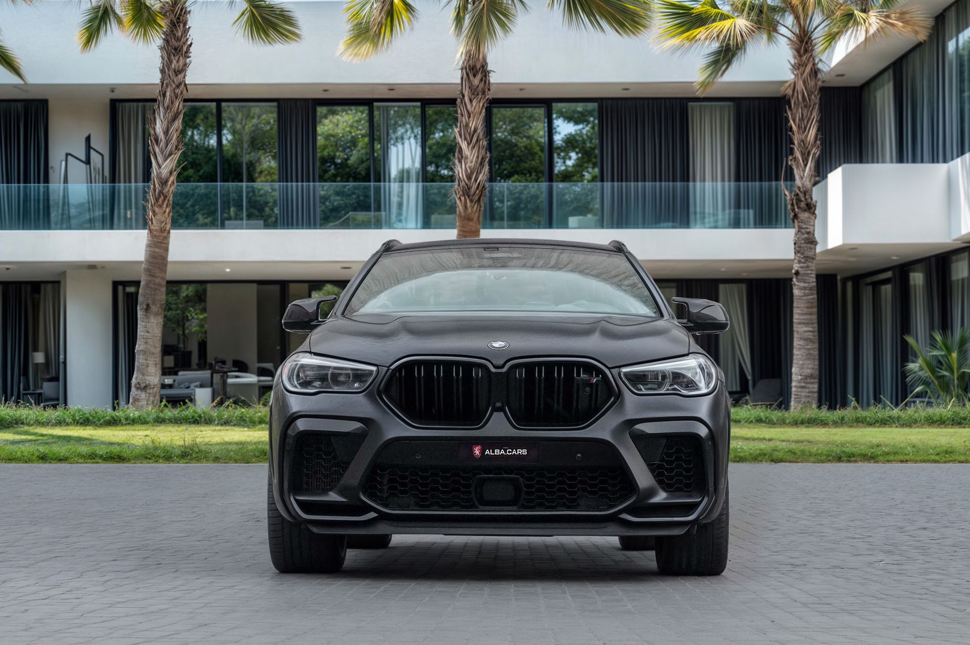 2021 BMW X6 photo 4
