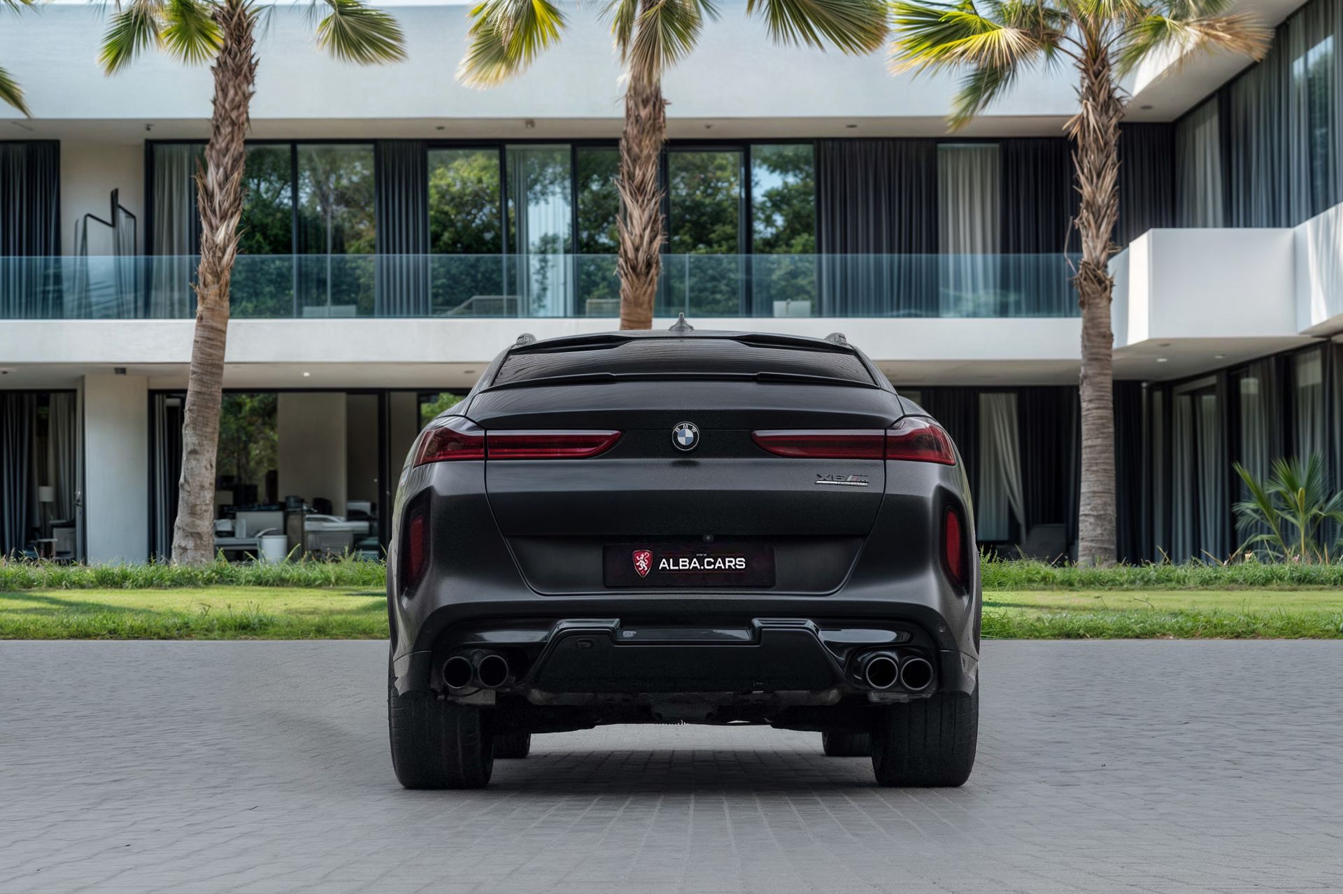 2021 BMW X6 photo 5