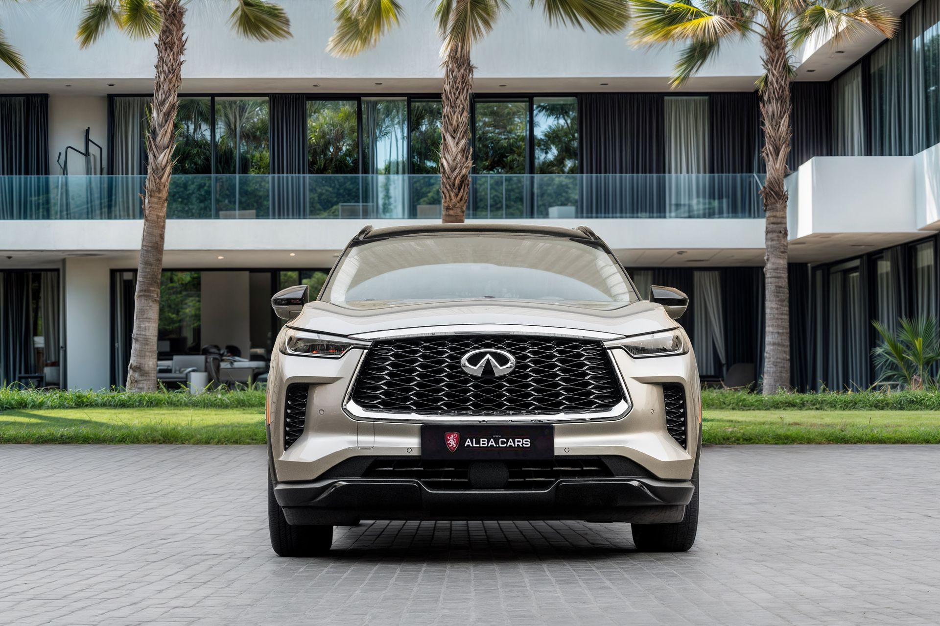 2024 Infiniti QX60 photo 2