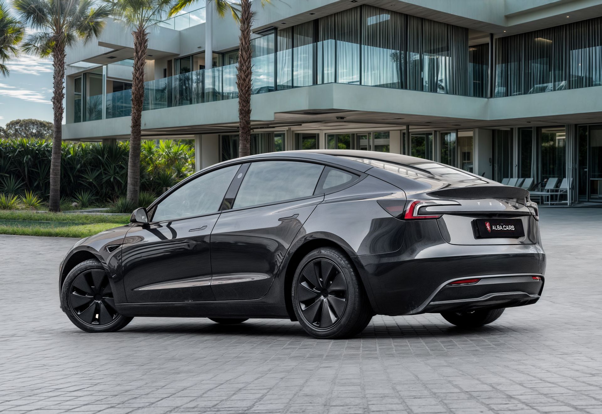 2025 Tesla Model 3 photo 2