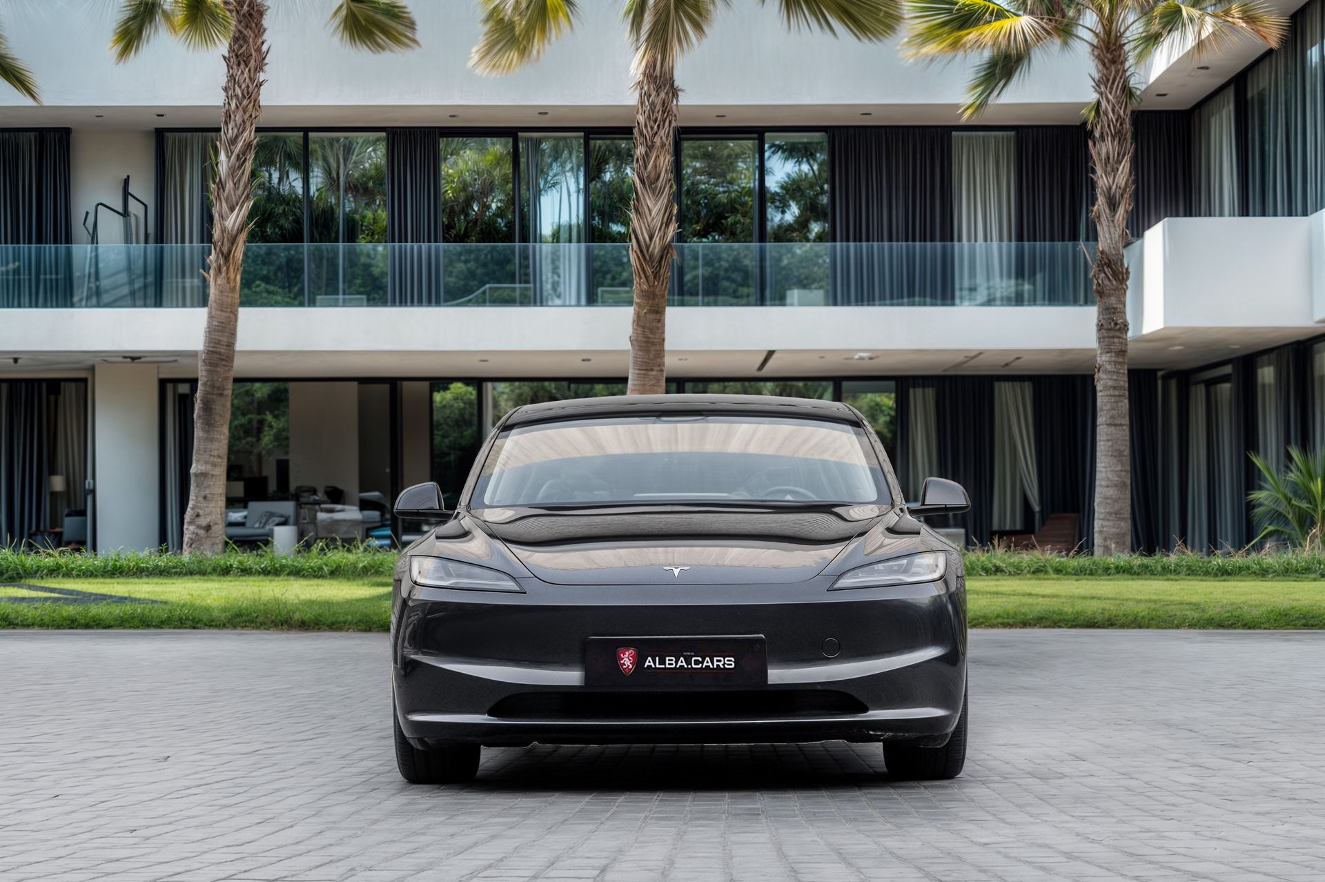 2025 Tesla Model 3 photo 3