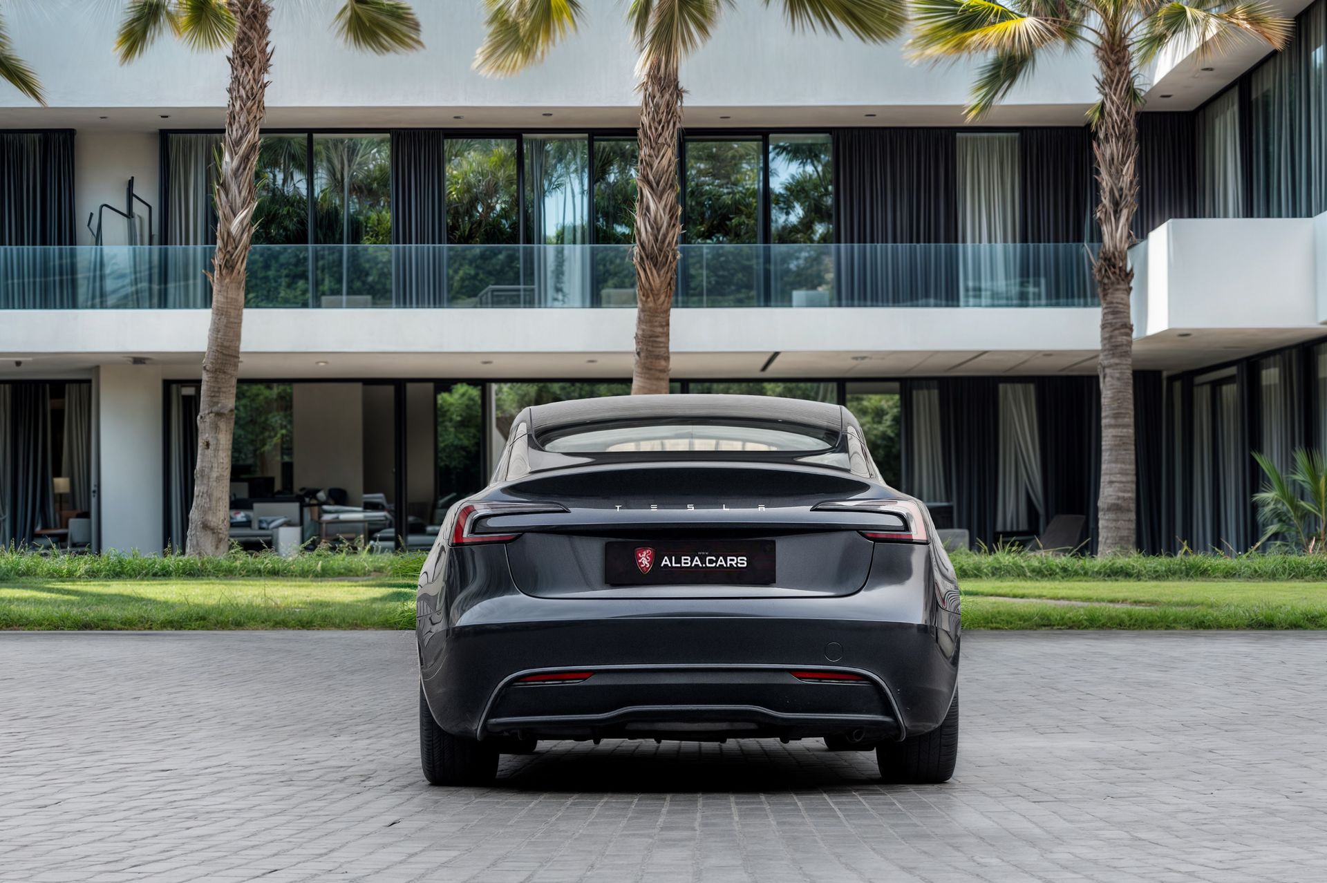 2025 Tesla Model 3 photo 4