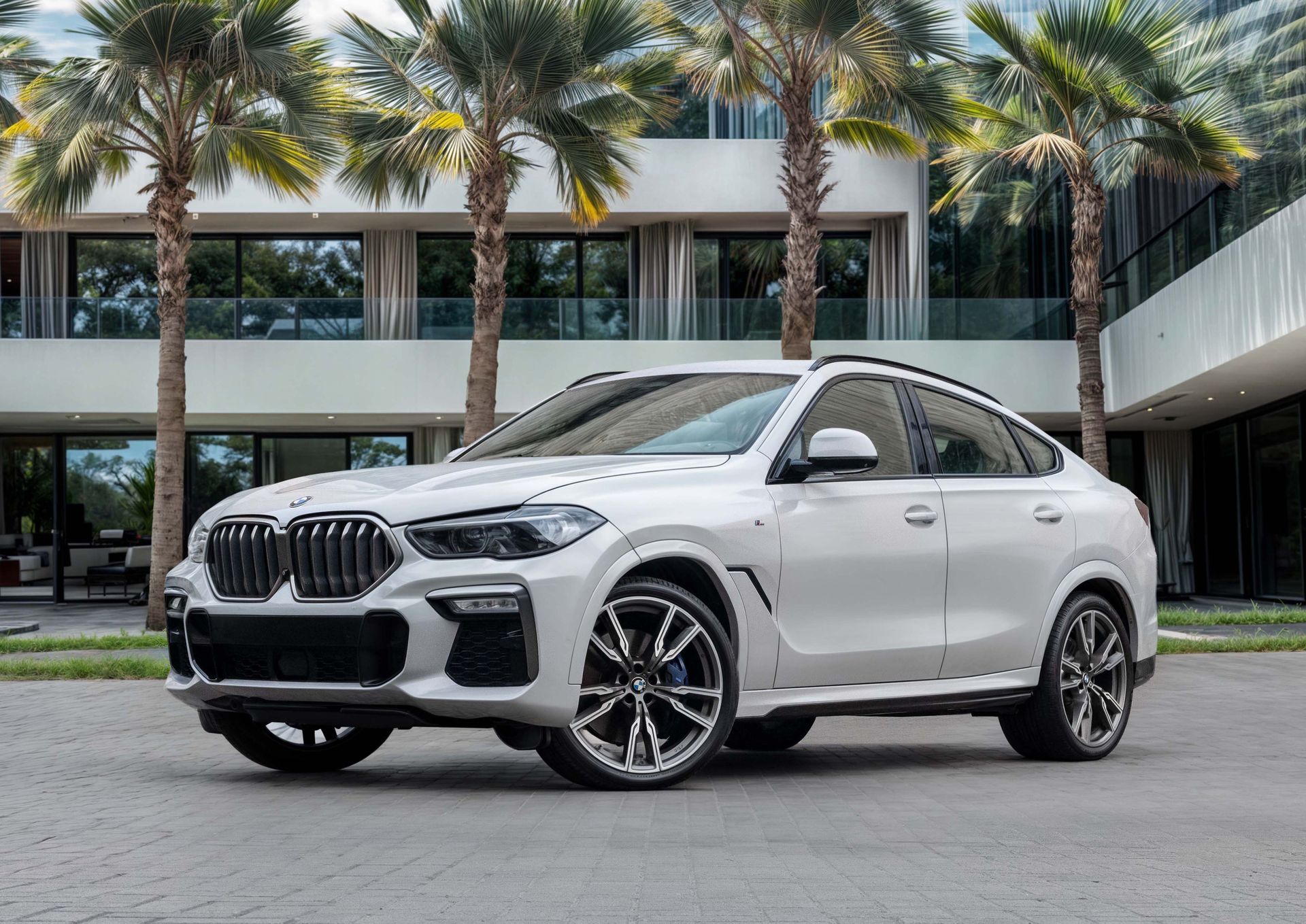2022 BMW X6