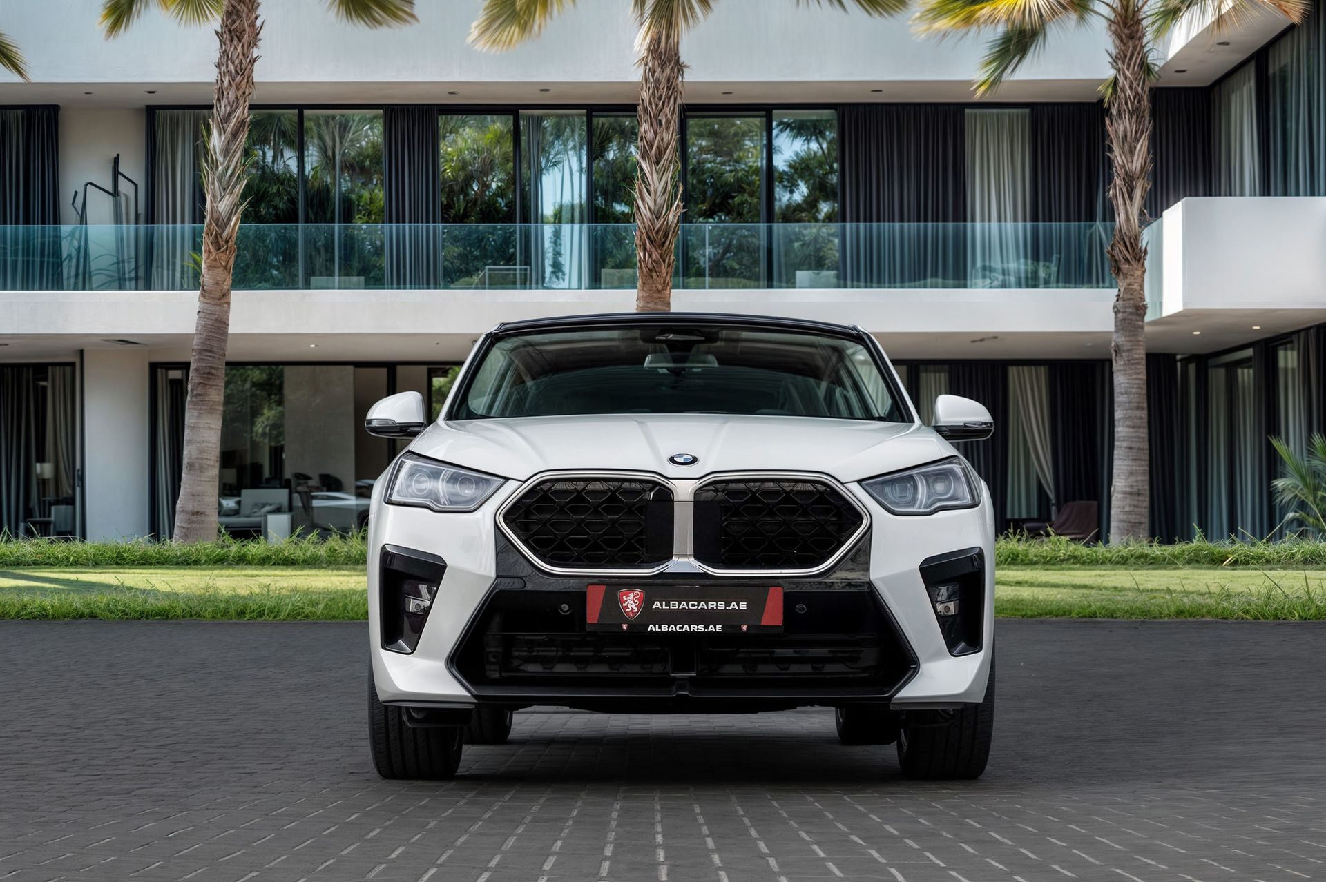 2024 BMW X2 photo 3