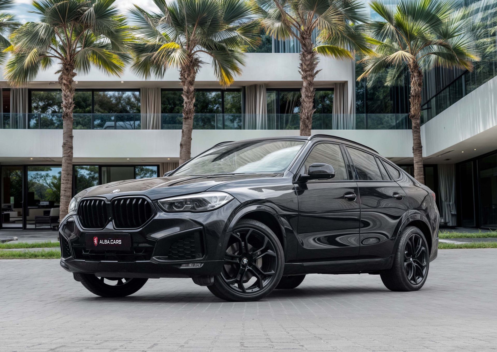 2021 BMW X6