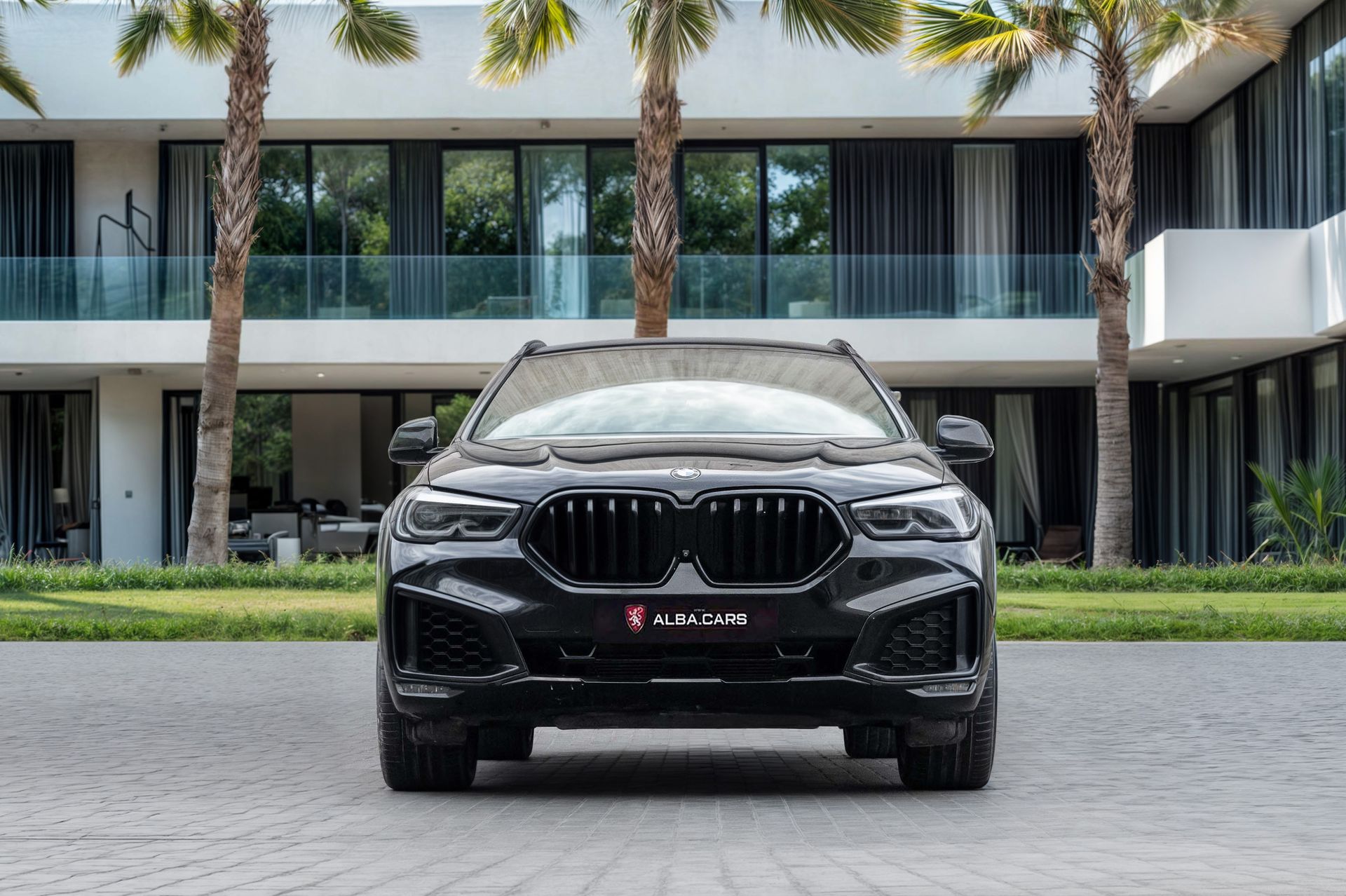2021 BMW X6 photo 4