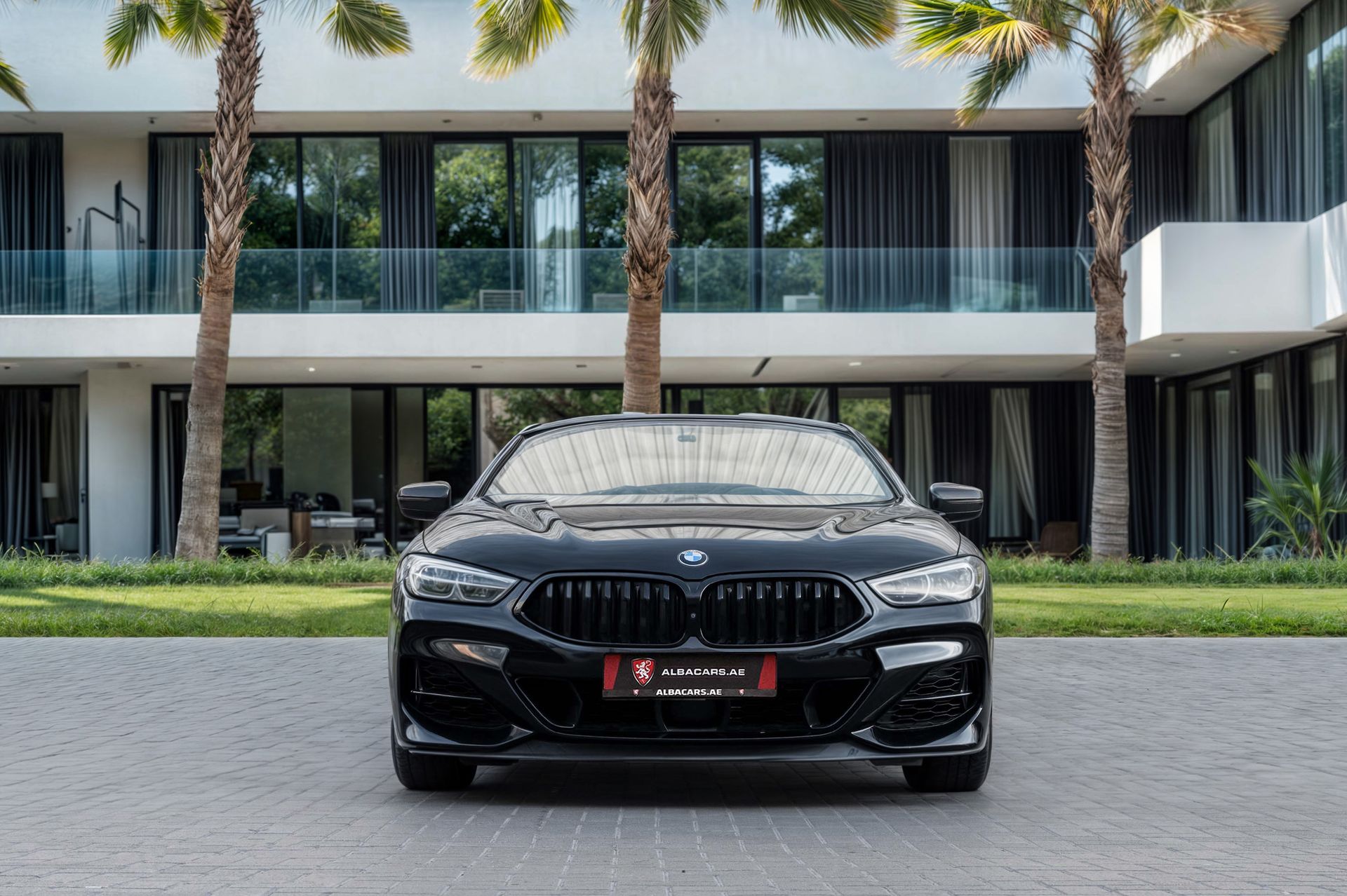 2021 BMW 8 Series photo 4