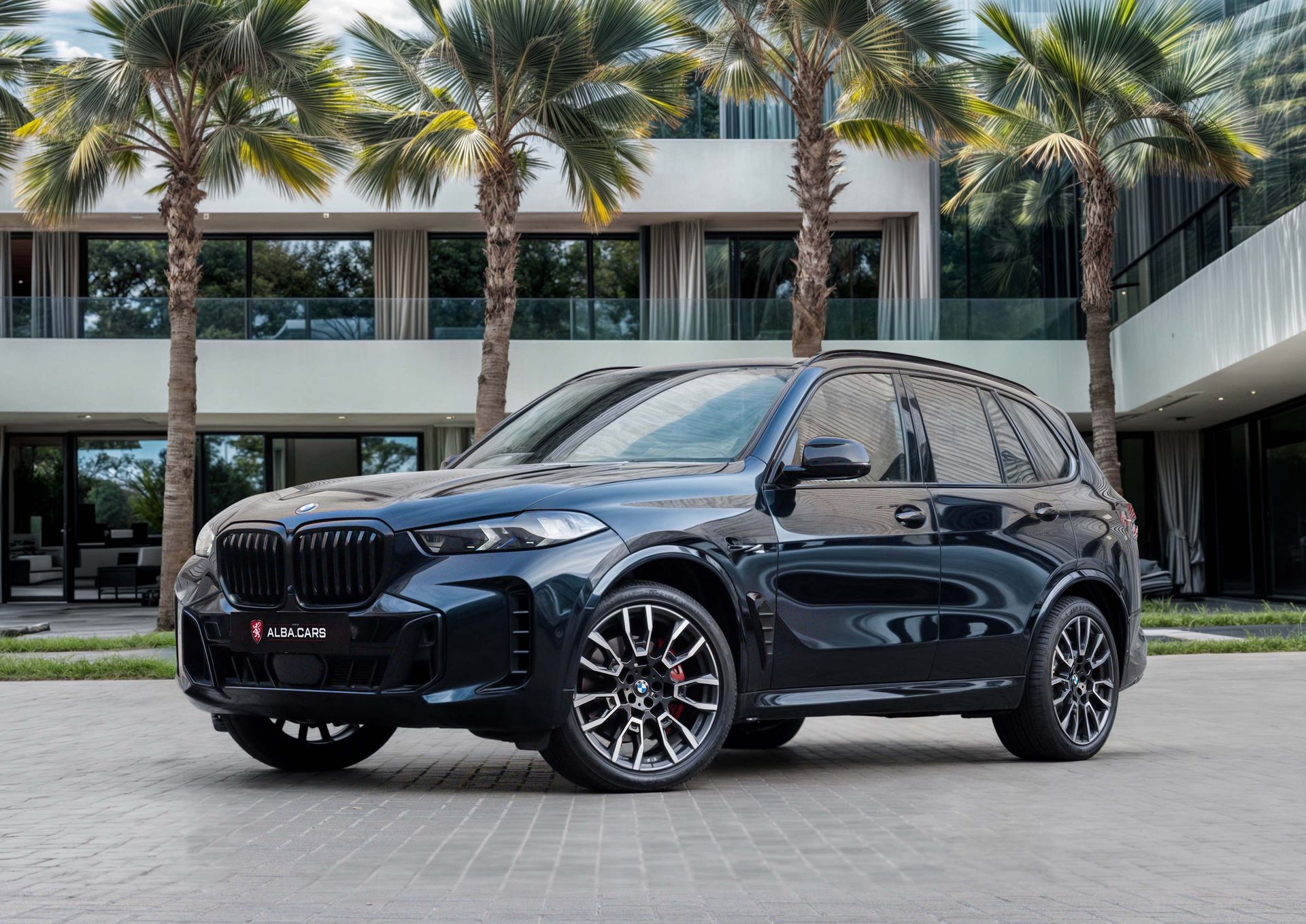 2024 BMW X5