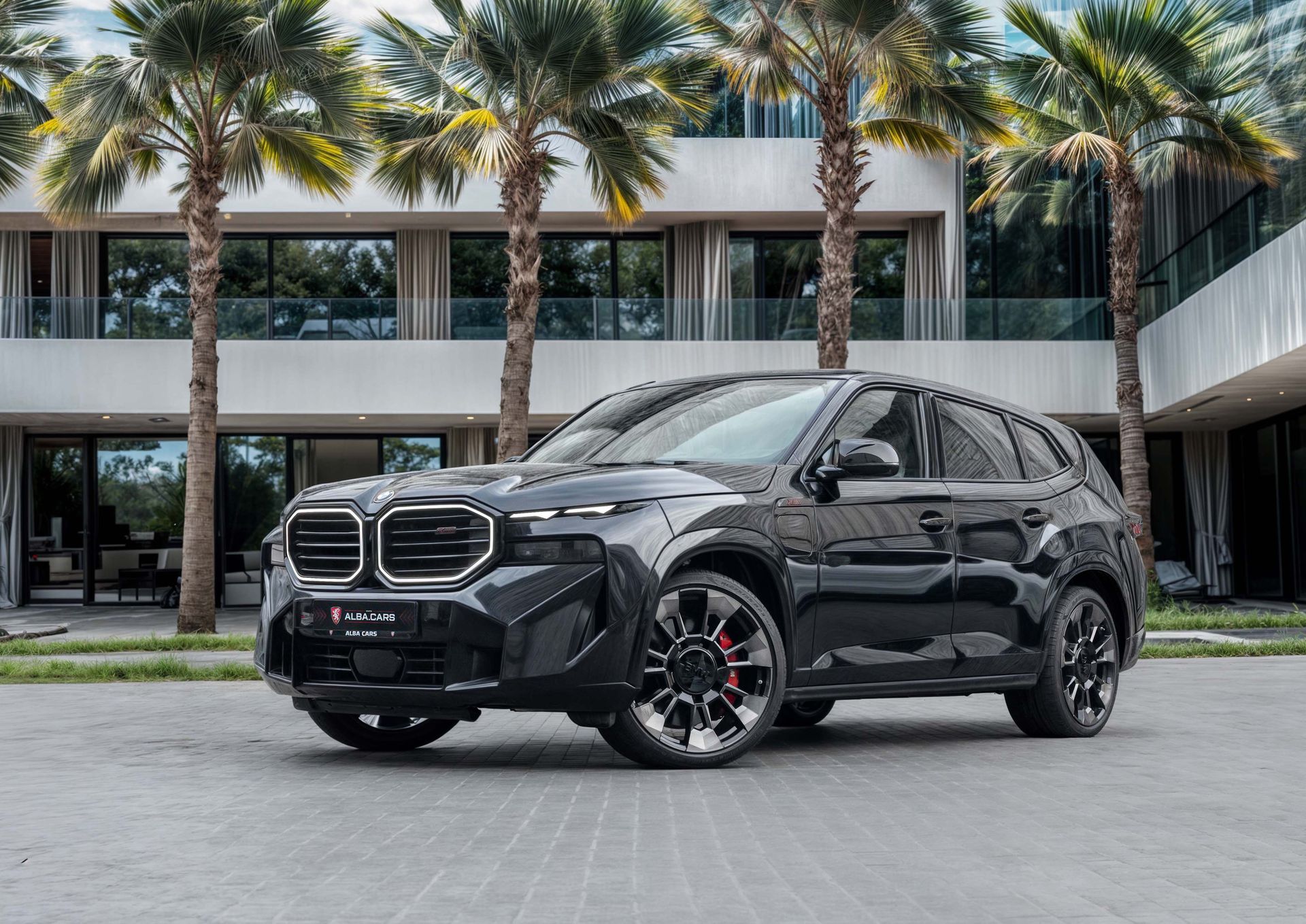 2025 BMW XM