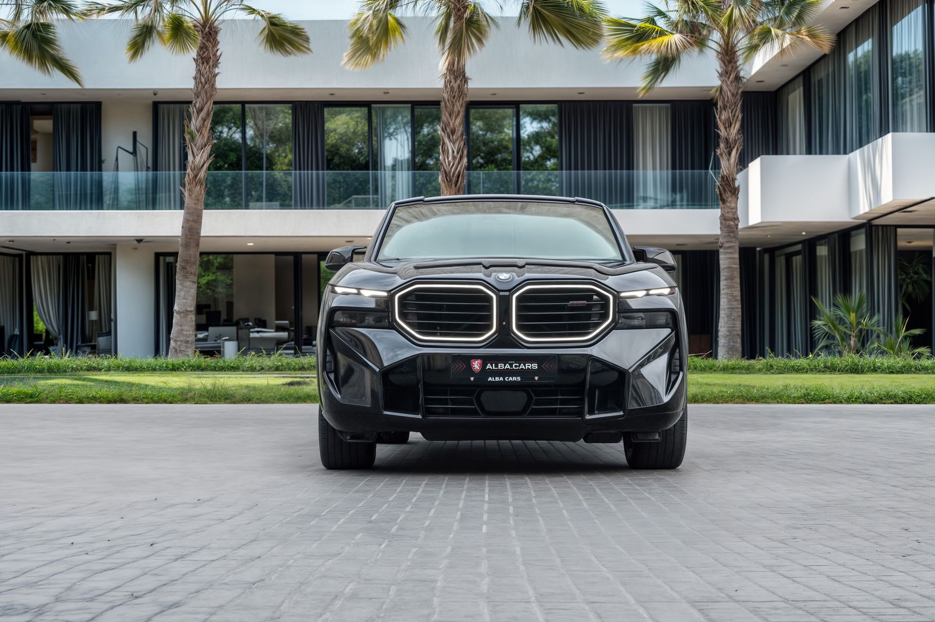 2025 BMW XM photo 4