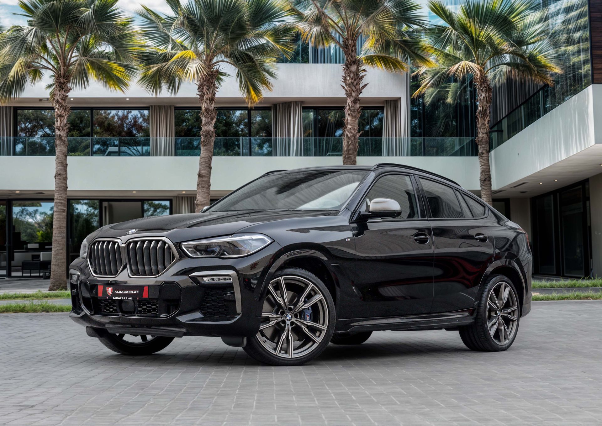 2021 BMW X6