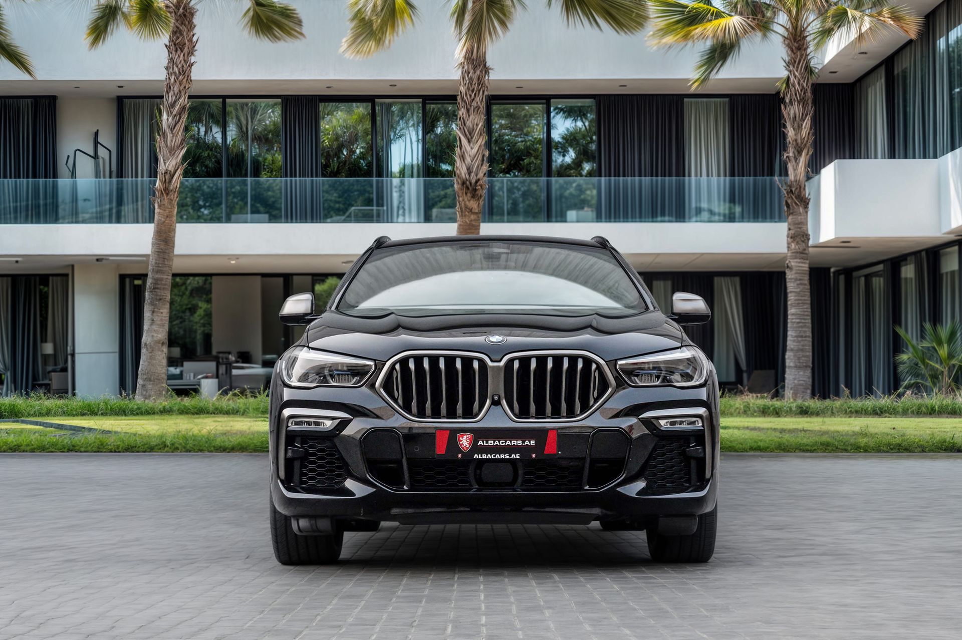 2021 BMW X6 photo 4