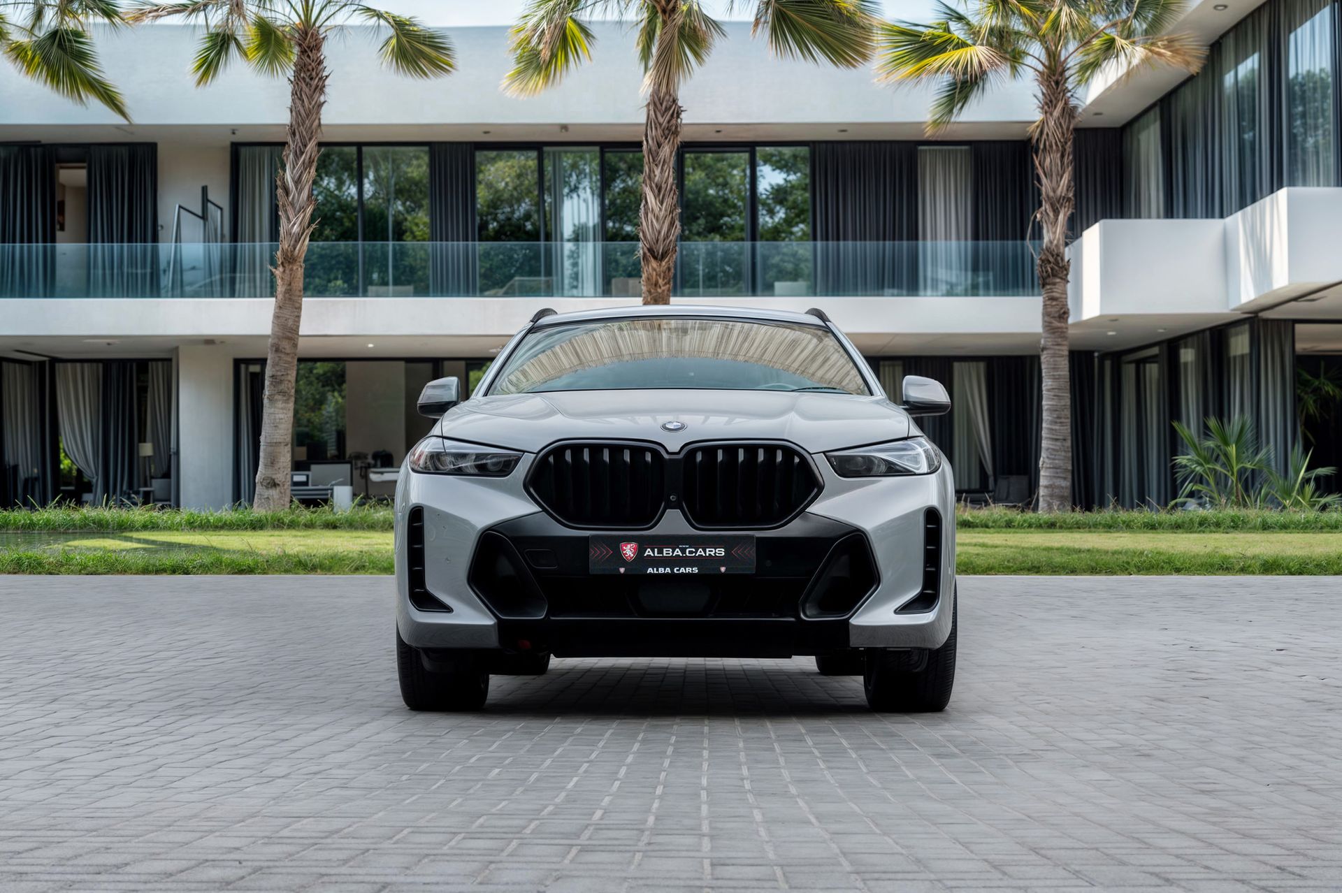 2025 BMW X6 photo 4