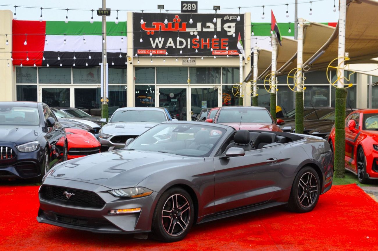 2019 Ford Mustang