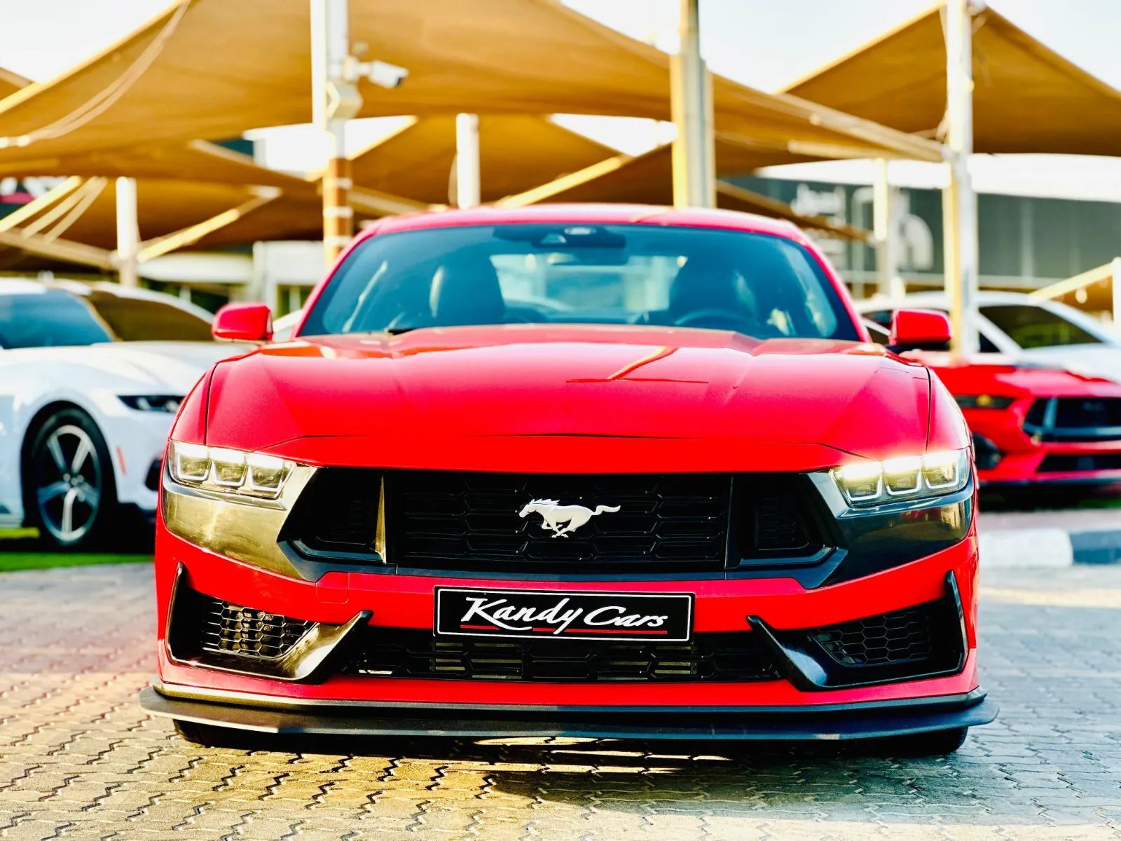 2024 Ford Mustang photo 2