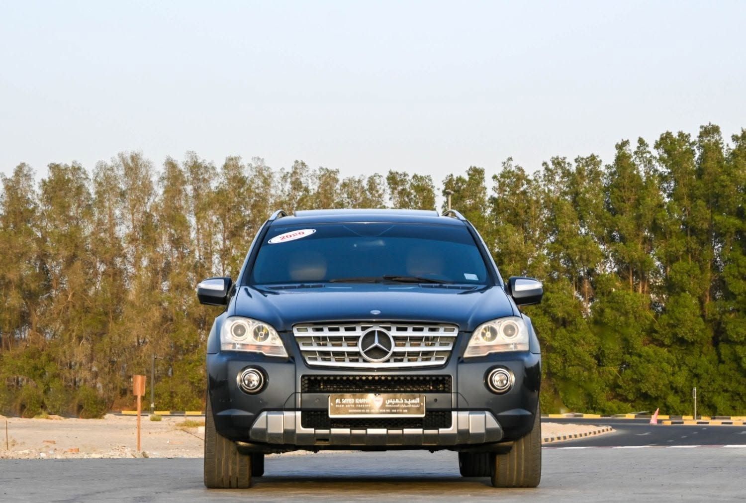 2010 Mercedes-Benz ML350 